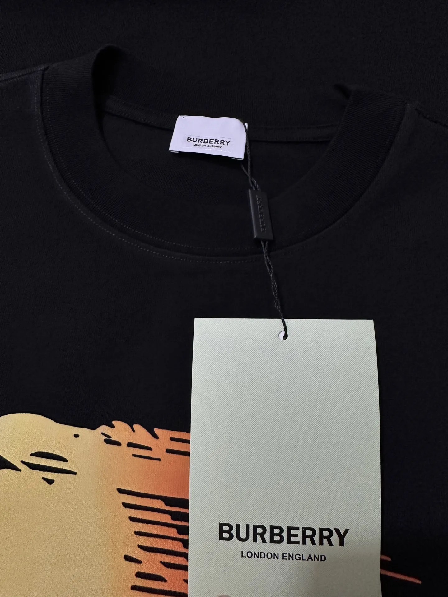 Gradient EKD Print Heavyweight Cotton T-Shirt D21020163 — view 6