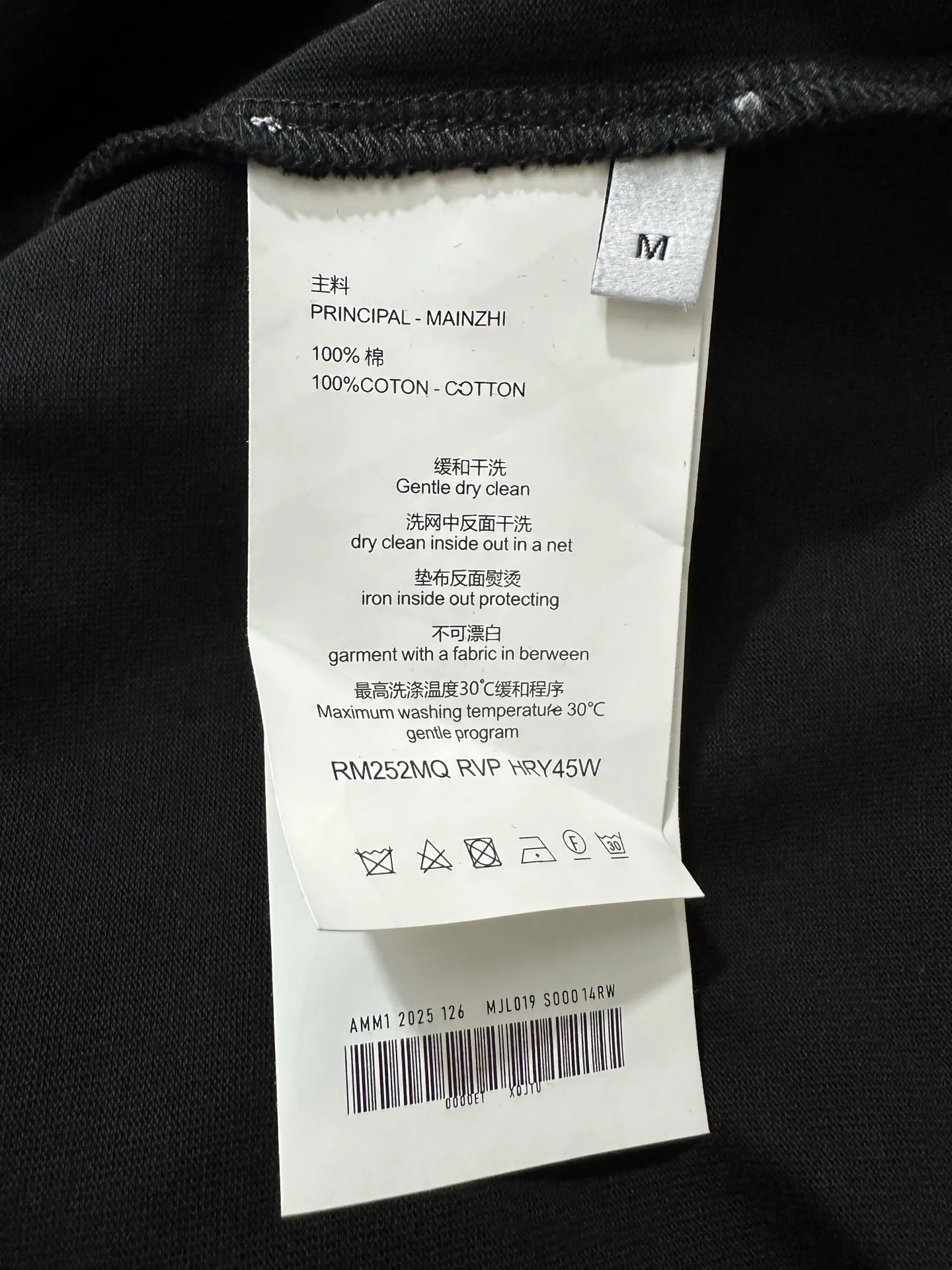 Triomphe Horse and Carriage Embroidered Long-Sleeve T-Shirt D22020146 — view 9