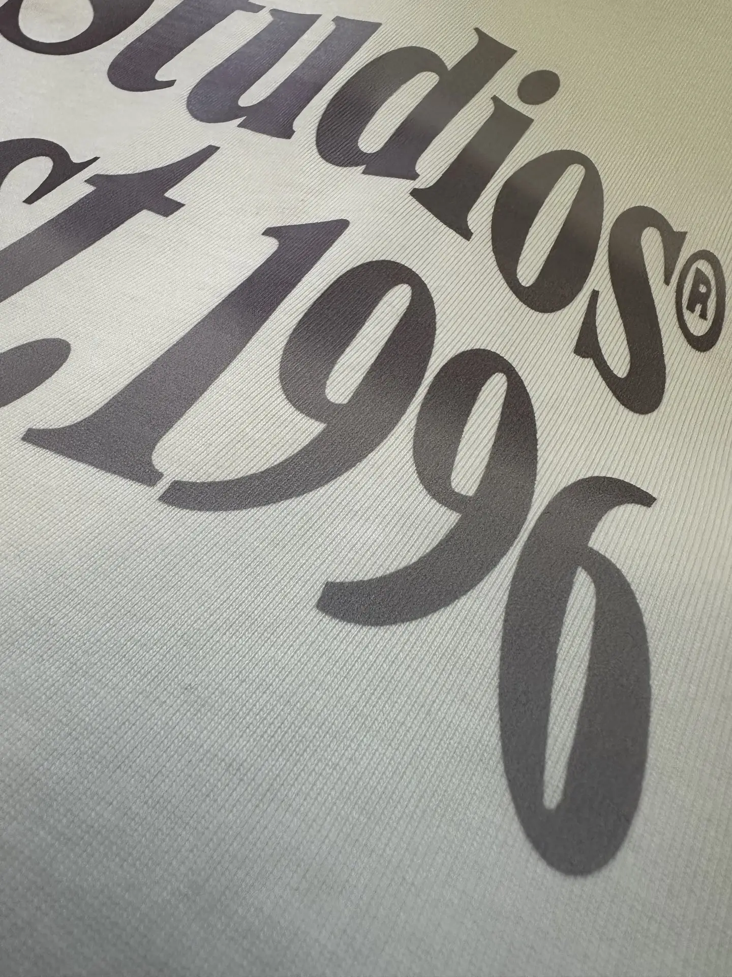 Logo Print Heavyweight Cotton T-Shirt D22012800 — view 8