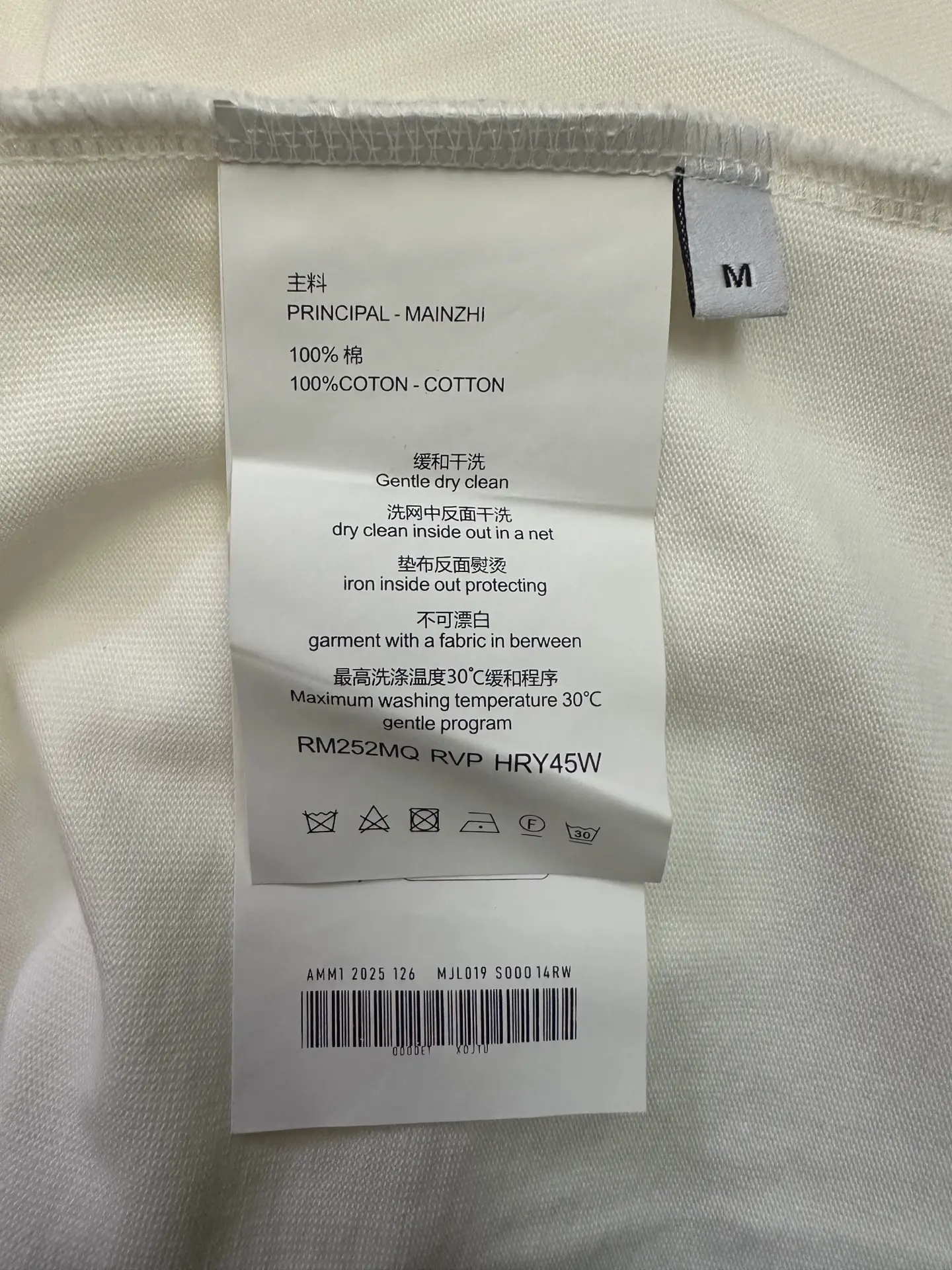 Logo Graphic Heavyweight Cotton T-Shirt D22012876 — view 9