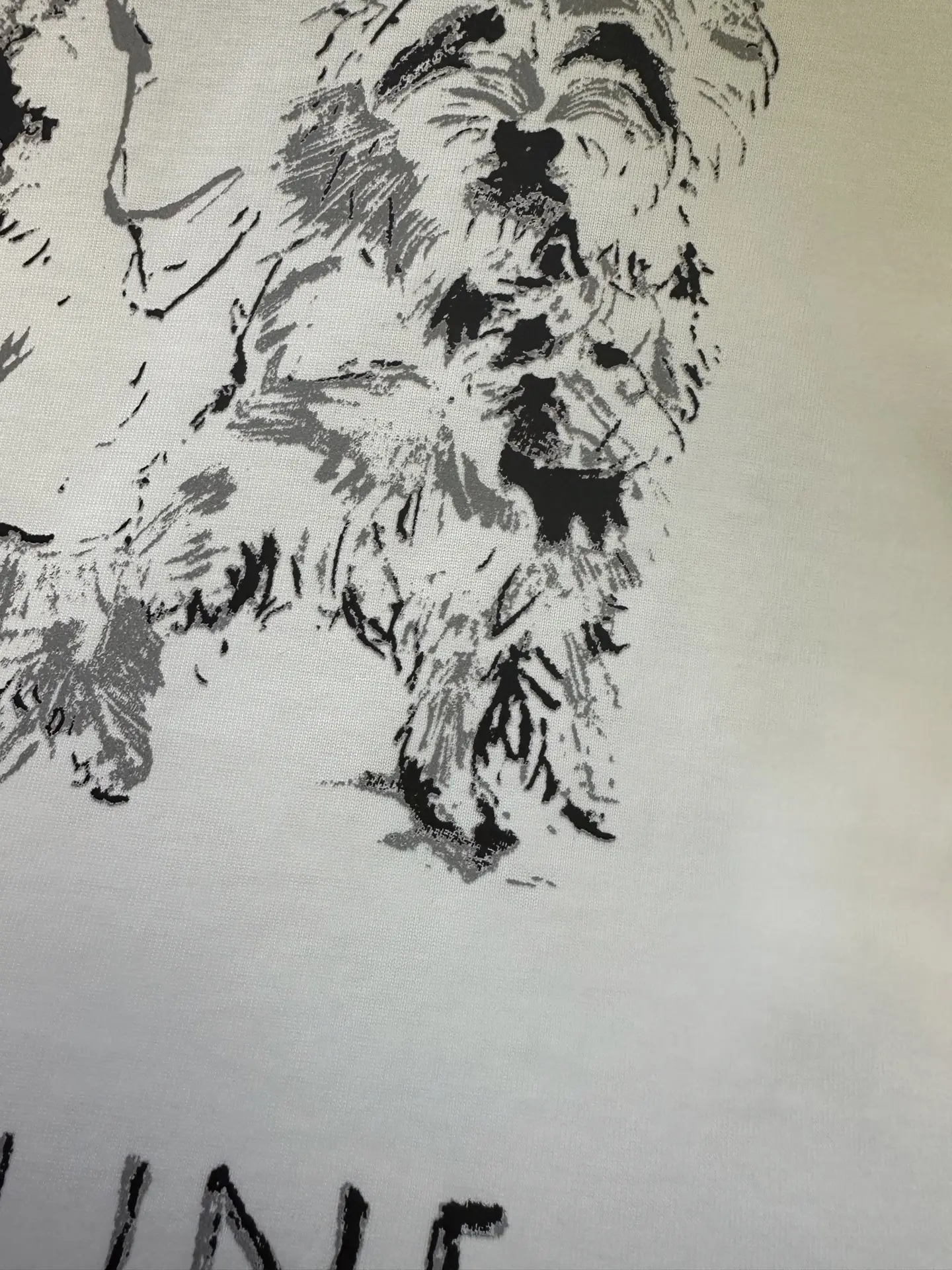 Dog Print Heavyweight Cotton T-Shirt D22012837 — view 8