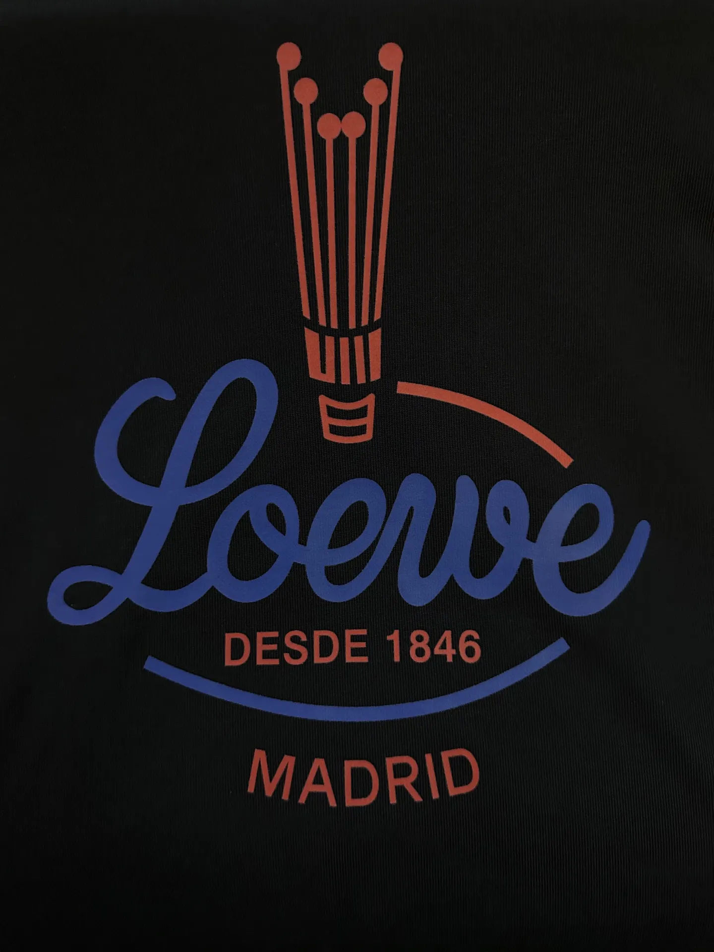 Logo Graphic Heavyweight Cotton T-Shirt D22012879 — view 8