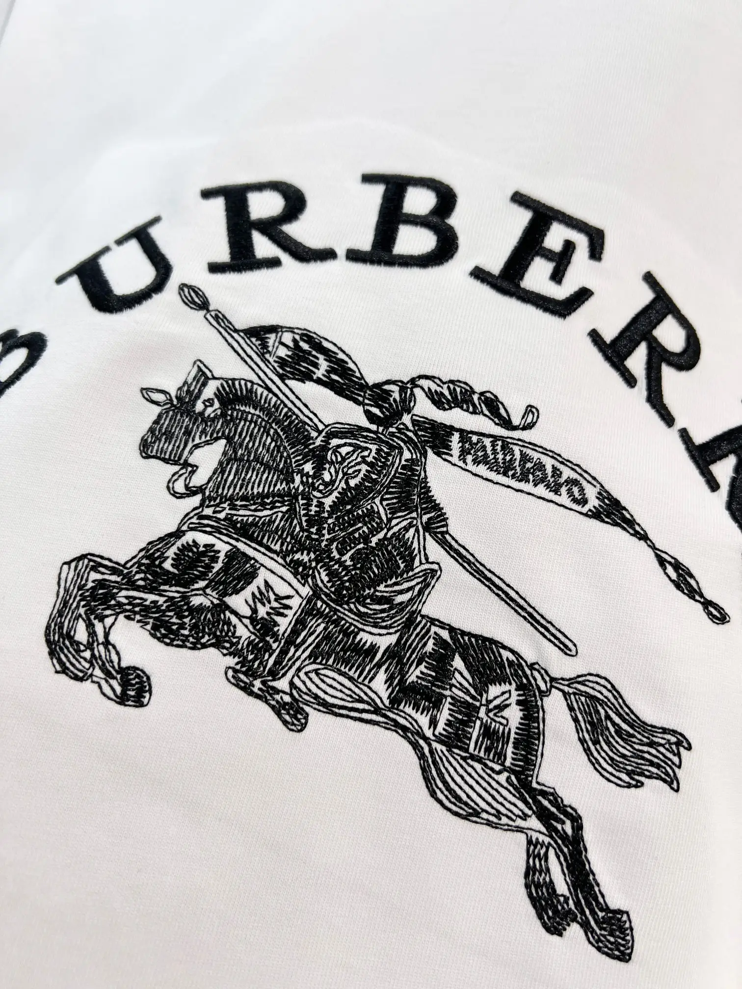 Logo-Embroidered Cotton T-Shirt D13015325 — view 5