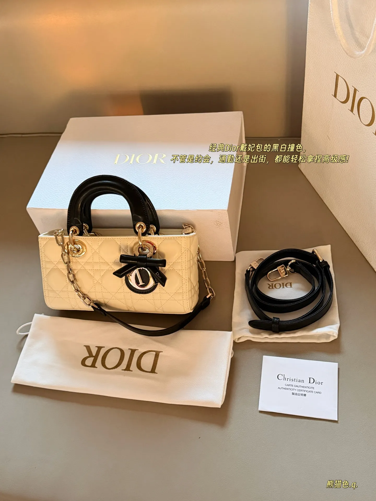 Lady Dior Horizontal Mini Bag D36017910