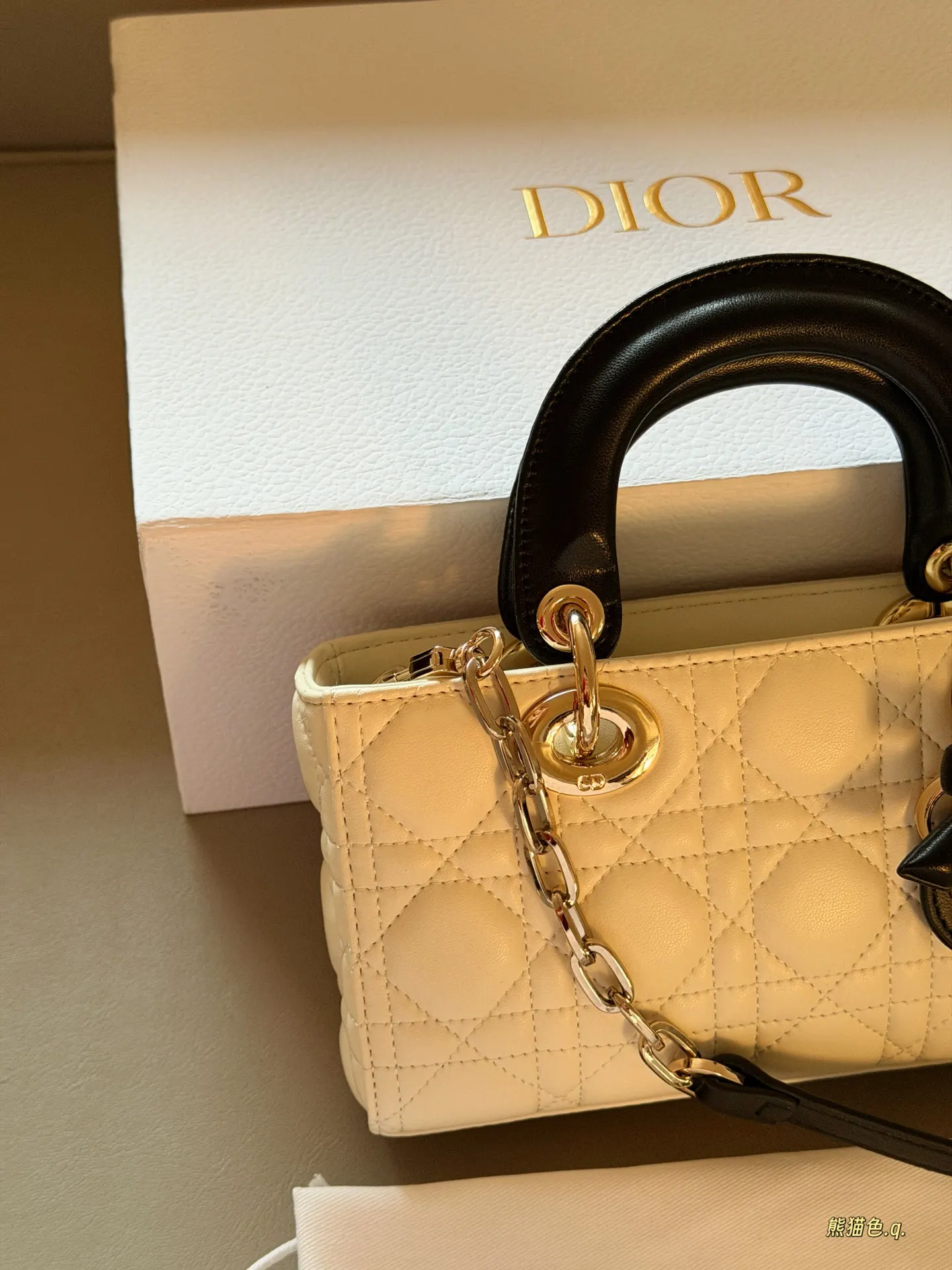 Lady Dior Horizontal Mini Bag D36017910 — view 5