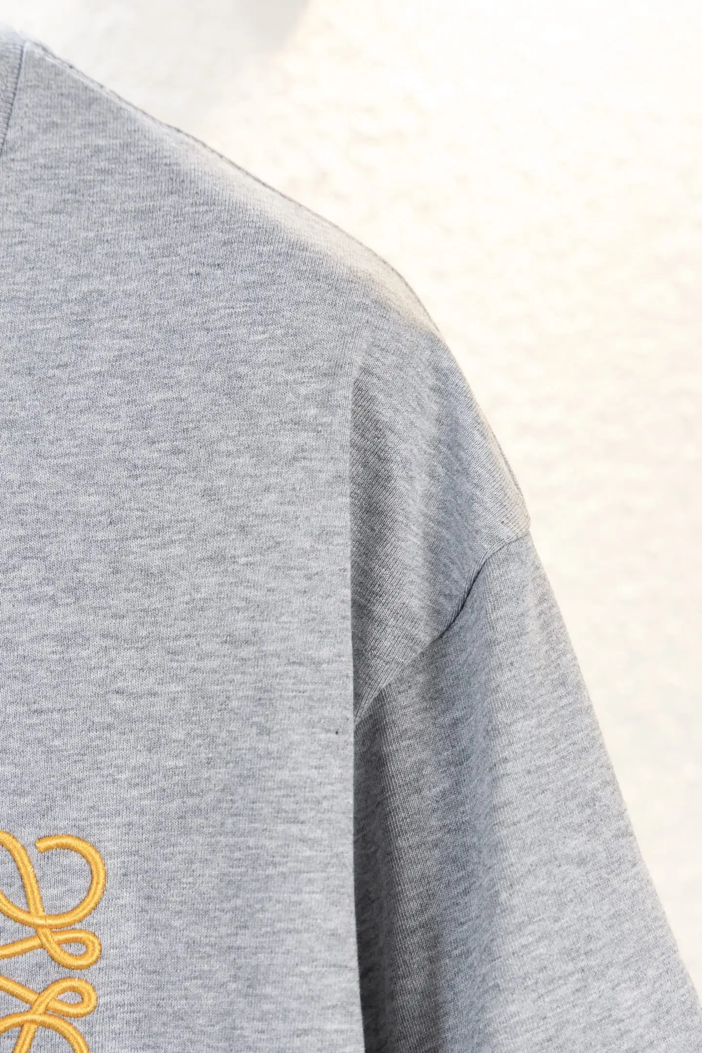 Anagram Embroidered Cotton T-Shirt D11012633 — view 5