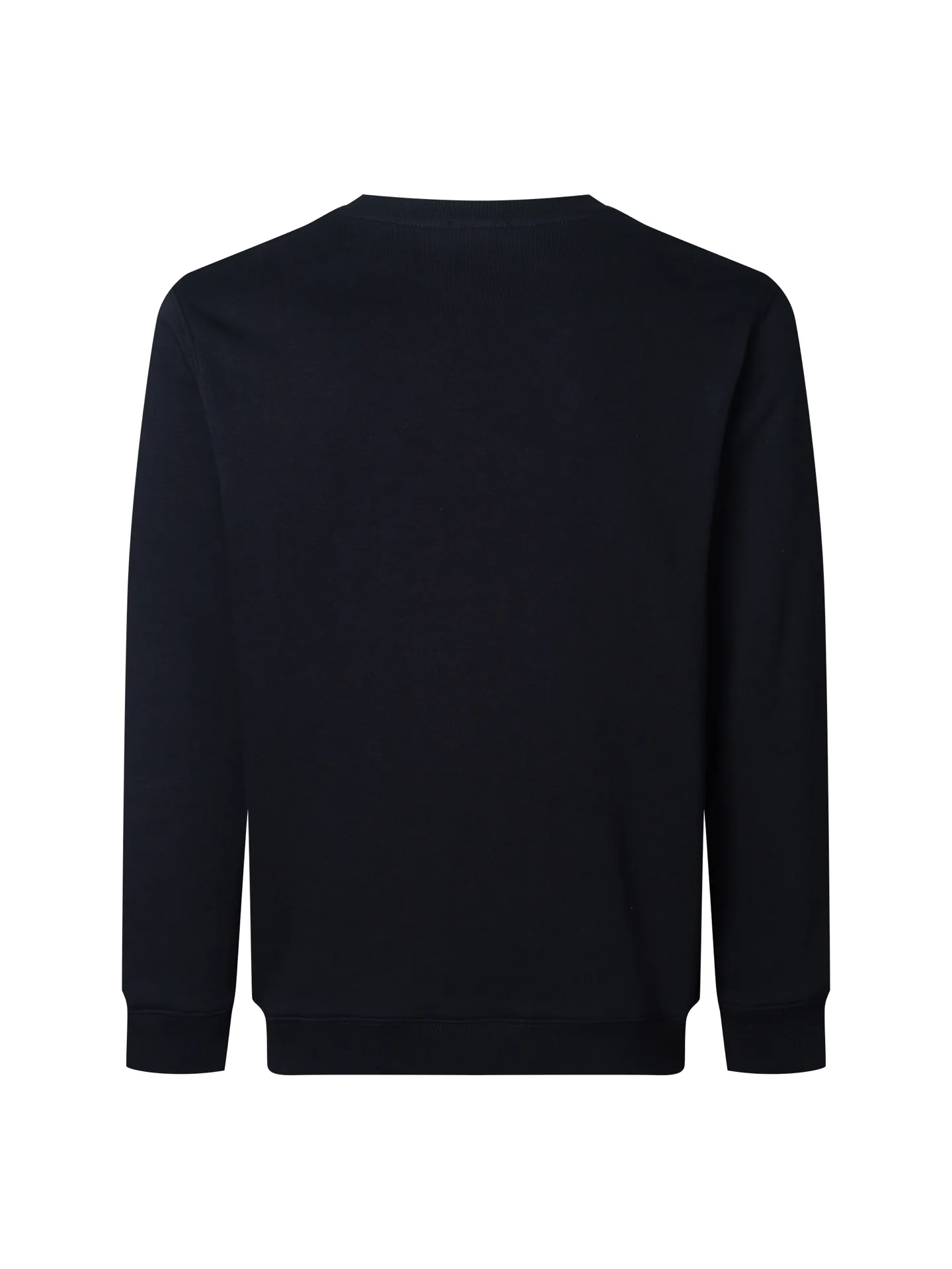 Anagram Embroidered Cotton-Jersey Sweatshirt D15016502 — view 2