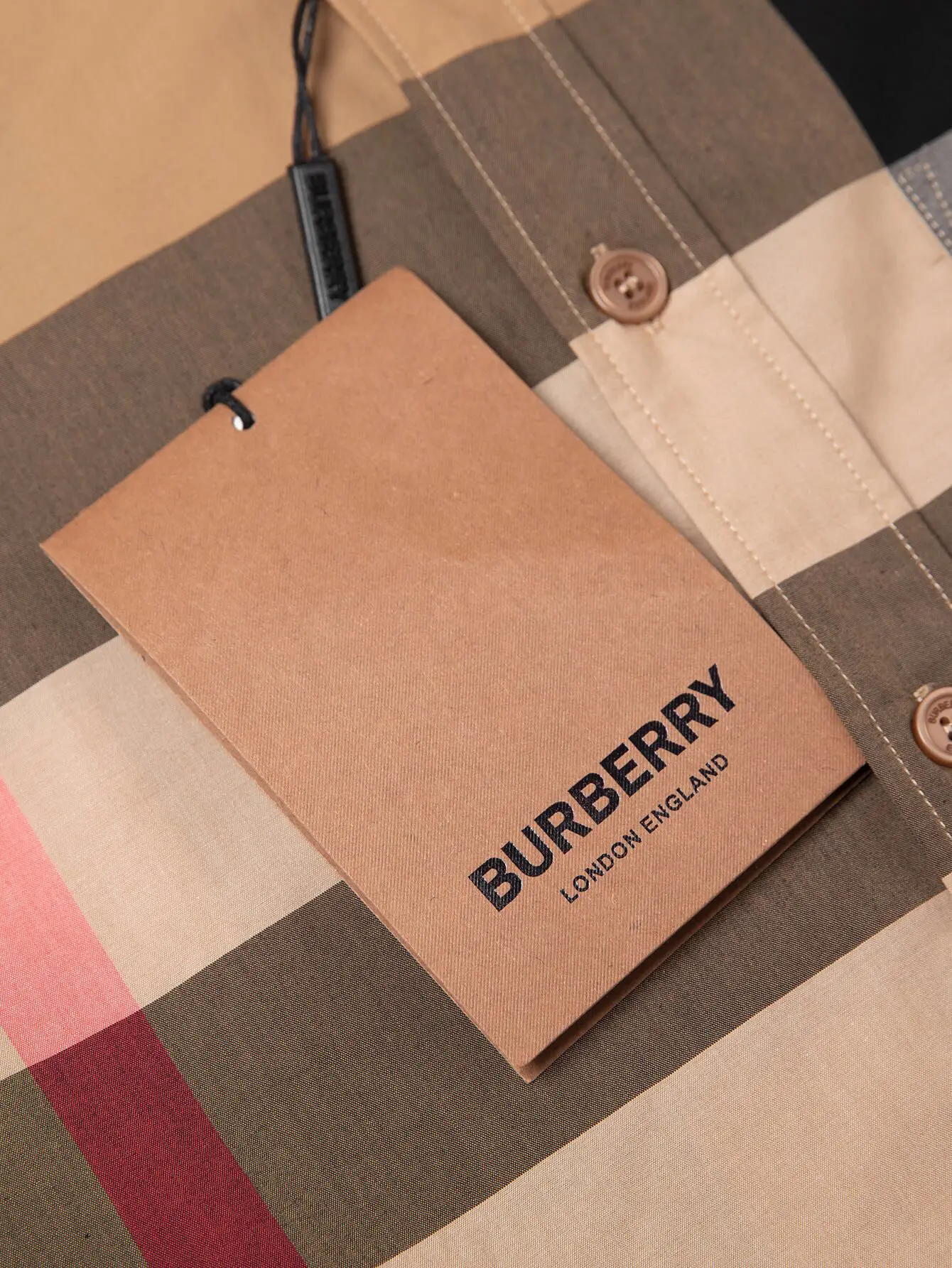 Giant Check Cotton Poplin Shirt D15016362 — view 6