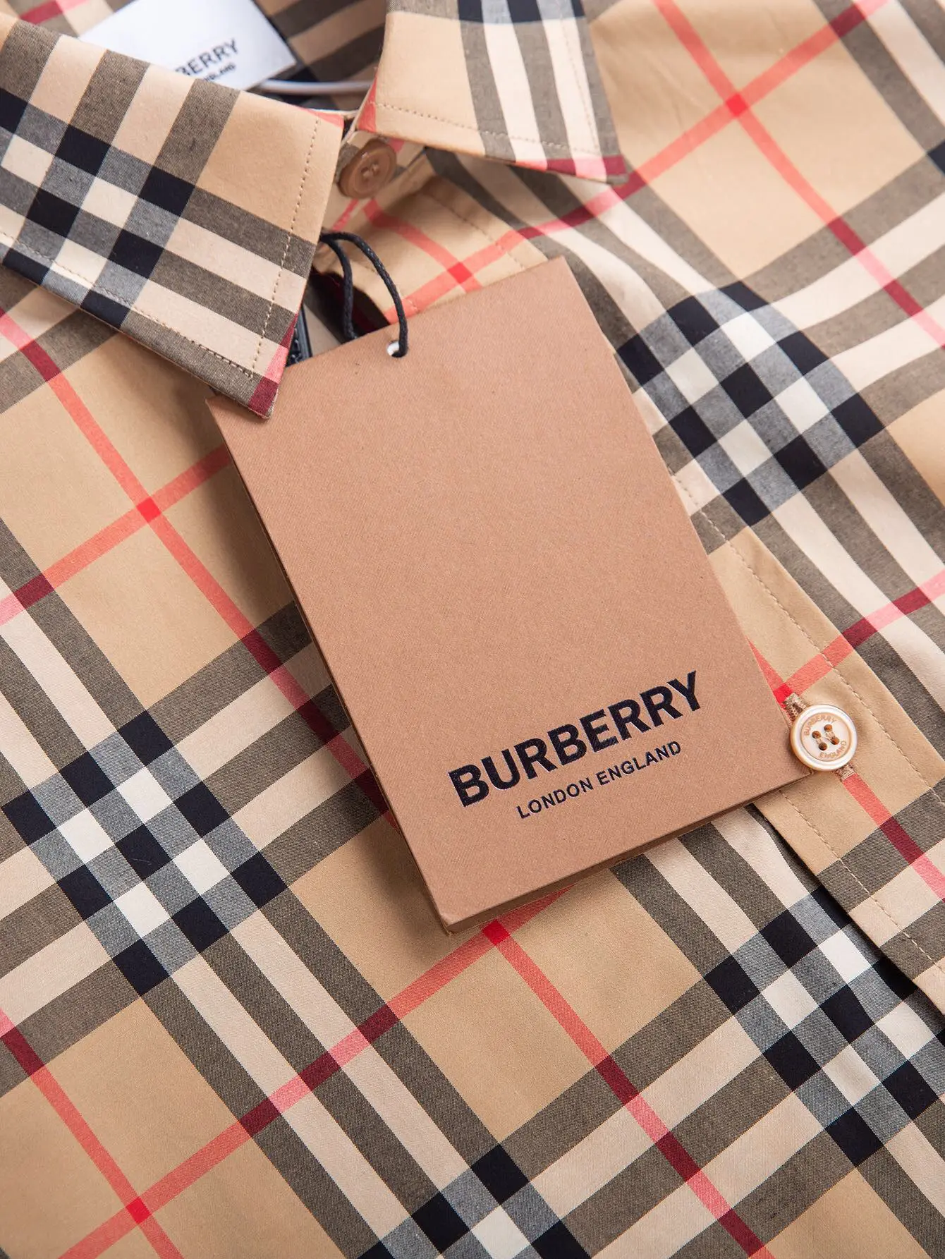 Check Cotton Poplin Shirt D15016364 — view 5