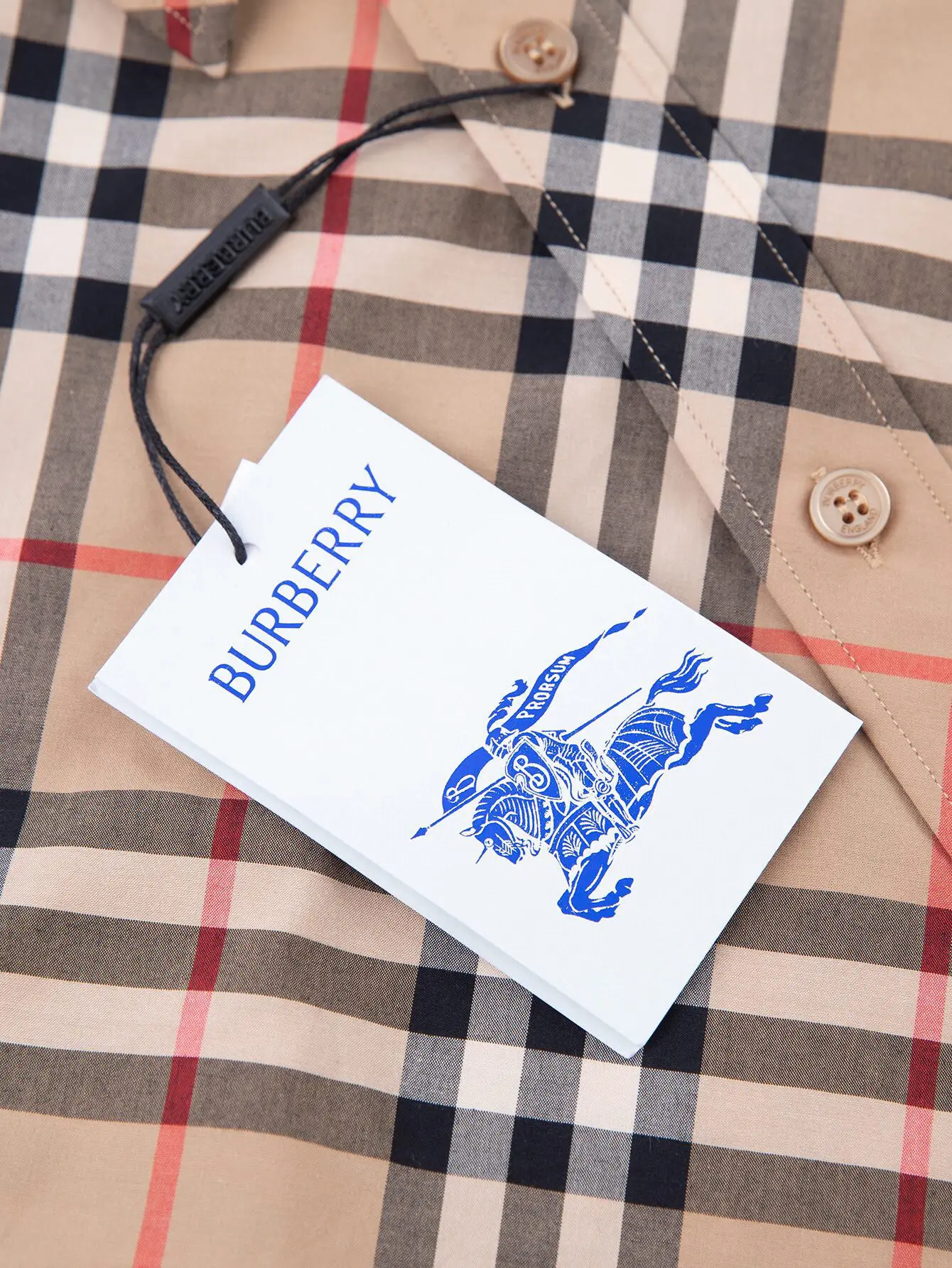 Check Cotton Twill Long-Sleeved Shirt D15516359 — view 4