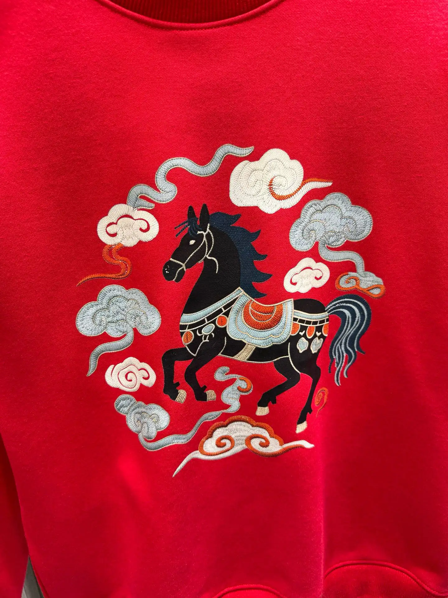 Embroidered Lunar New Year Sweatshirt D17514537 — view 6