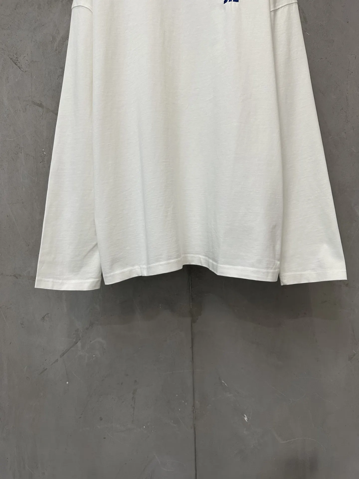 Logo Embroidered Heavyweight Long-Sleeve T-Shirt D20025026 — view 4