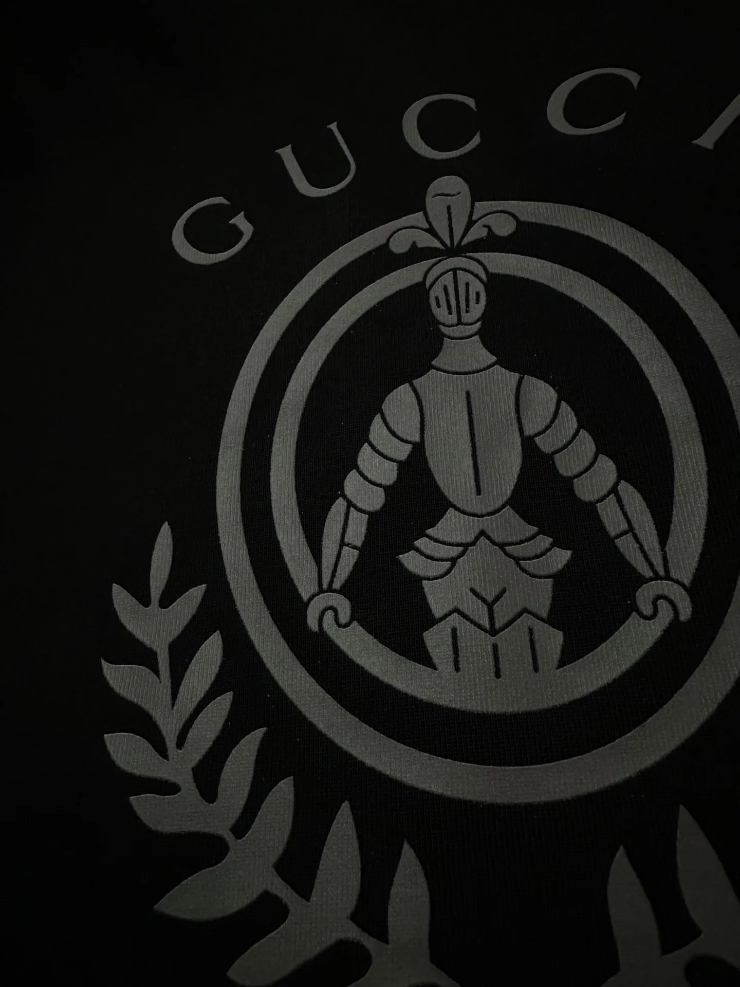 Knight Crest Heavyweight Cotton T-Shirt D20011893 — view 6