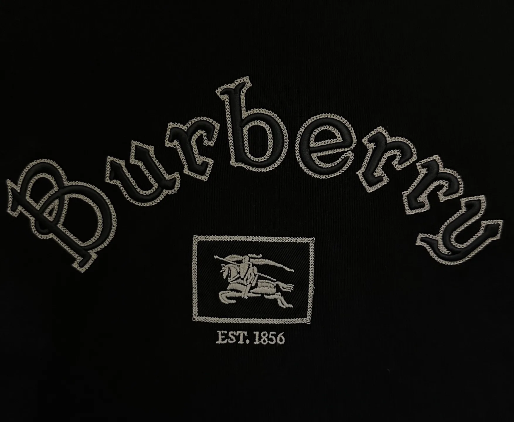 Gothic Logo Embroidered Cotton T-Shirt D21012887 — view 8