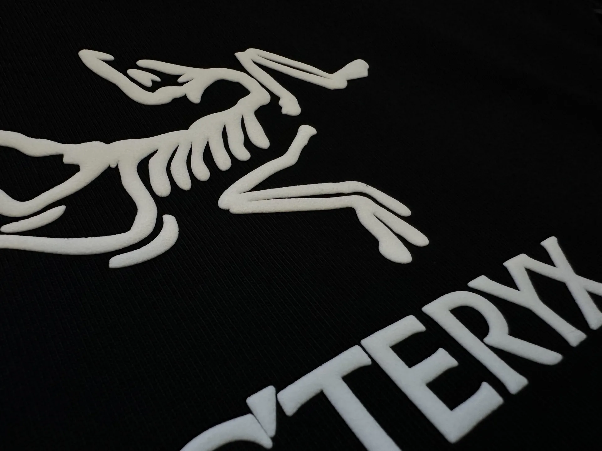 Logo Print Heavyweight Cotton T-Shirt D22012749 — view 8