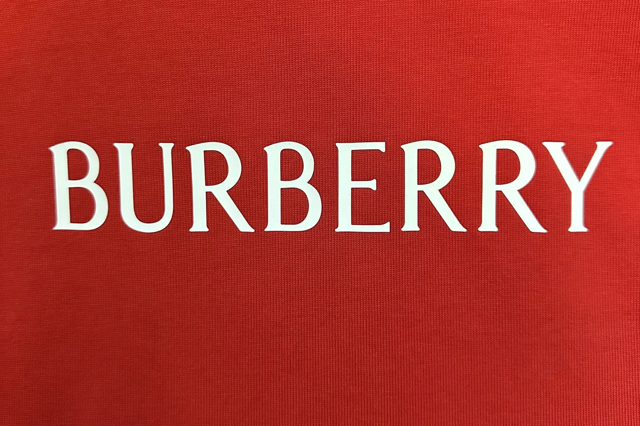 Logo Embroidered Heavyweight Cotton T-Shirt D22015691 — view 8