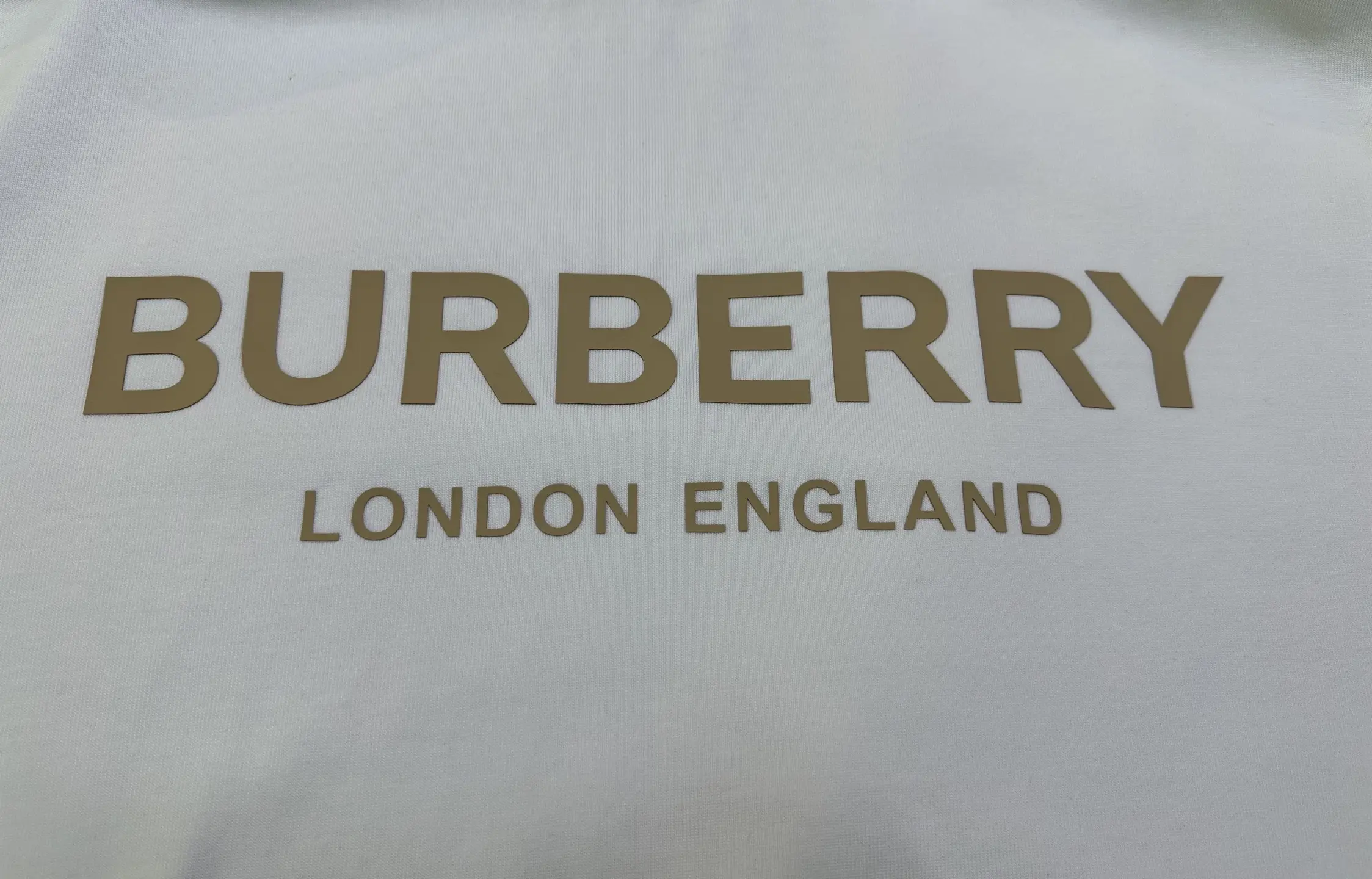 Logo Print Heavyweight Cotton T-Shirt D22012869 — view 8
