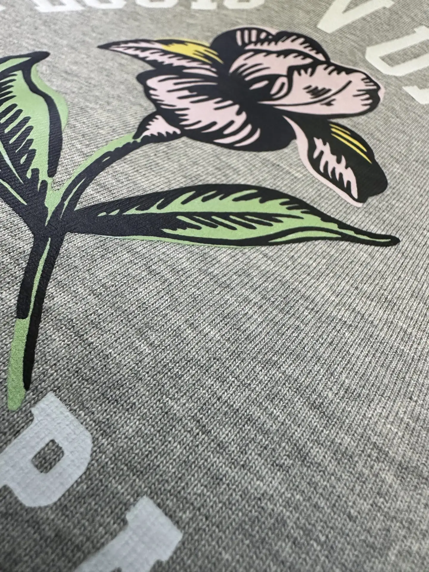 1854 Iris Graphic Heavyweight T-Shirt D22012744 — view 8