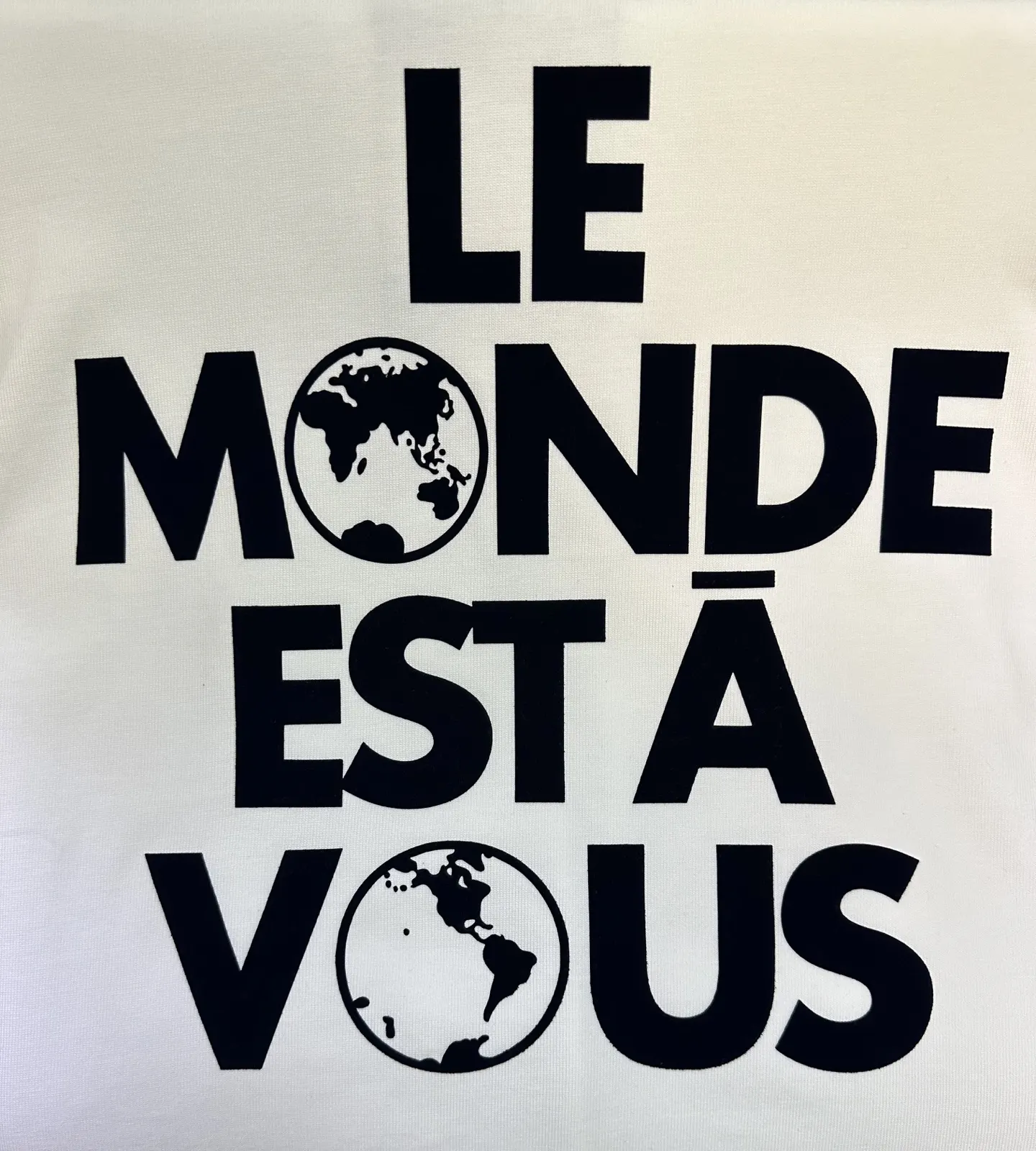 Logo Flocked Heavyweight Cotton T-Shirt D22512906 — view 8