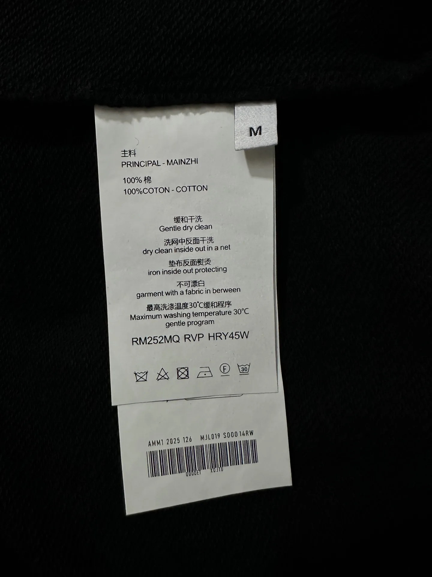 Triomphe Logo Embroidered Cotton Sweatshirt D26024412 — view 9