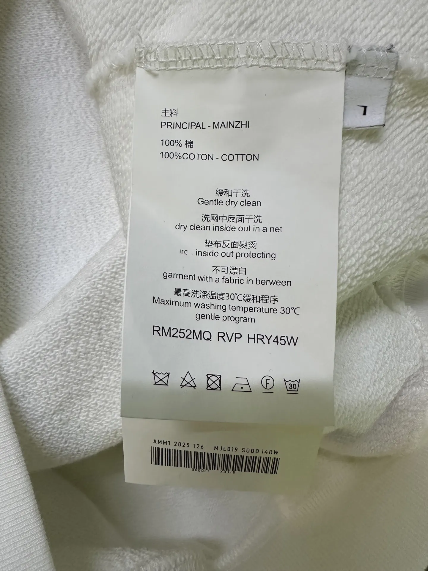 Logo Print Heavyweight Cotton Sweatshirt D26023533 — view 9