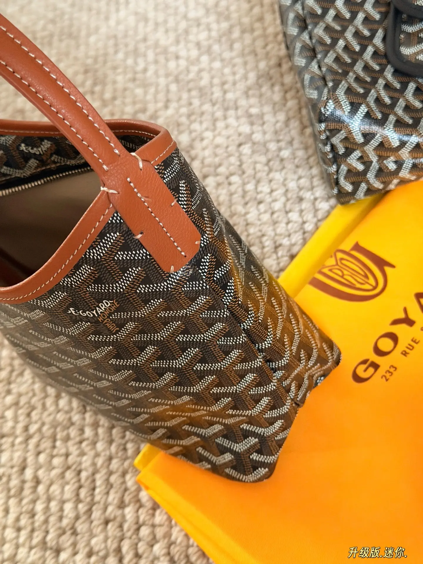Goyard Mini Hobo Bag D26517808 — view 6