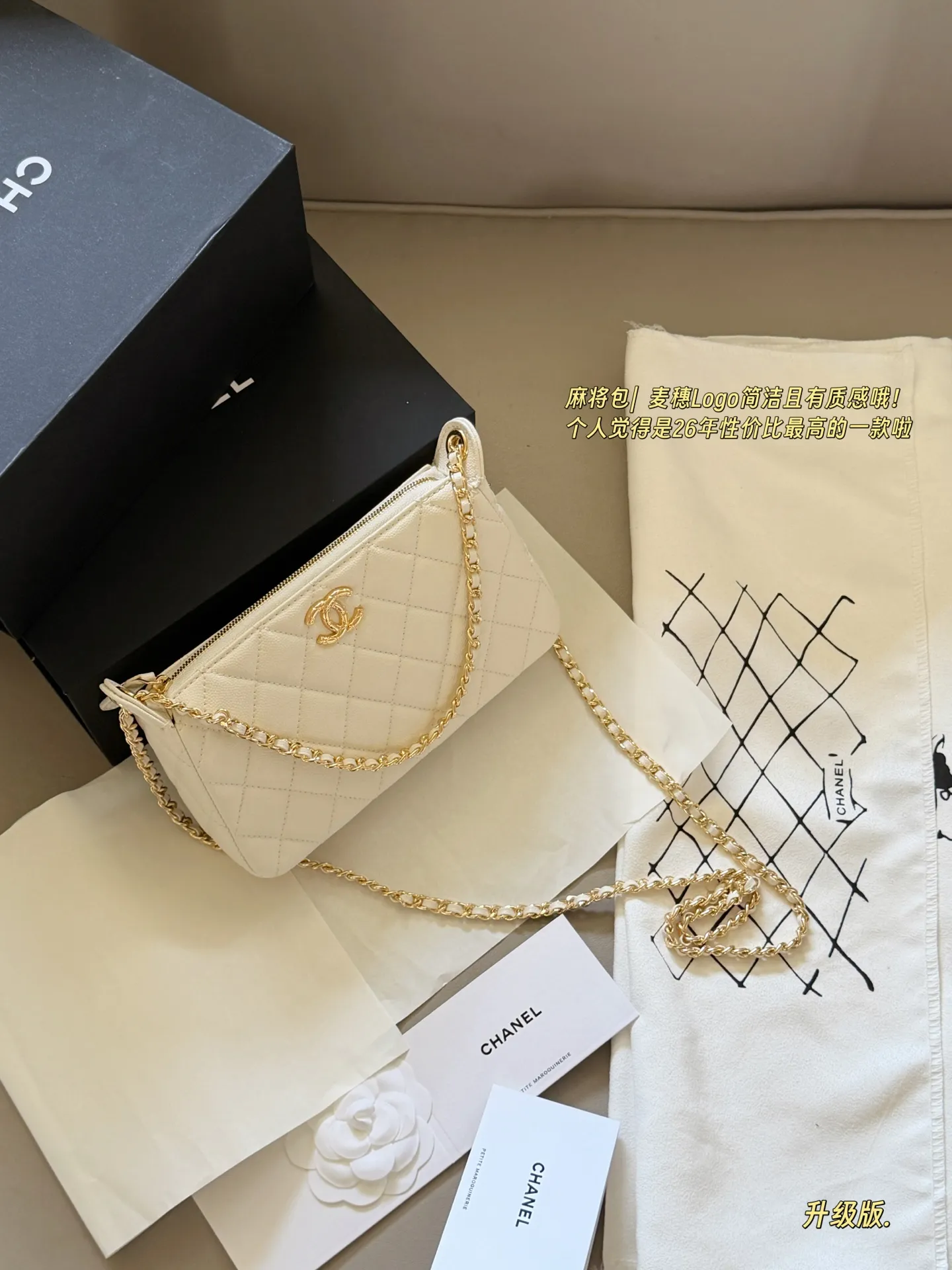 Quilted Leather Chain Shoulder Bag D27518015 — view 10
