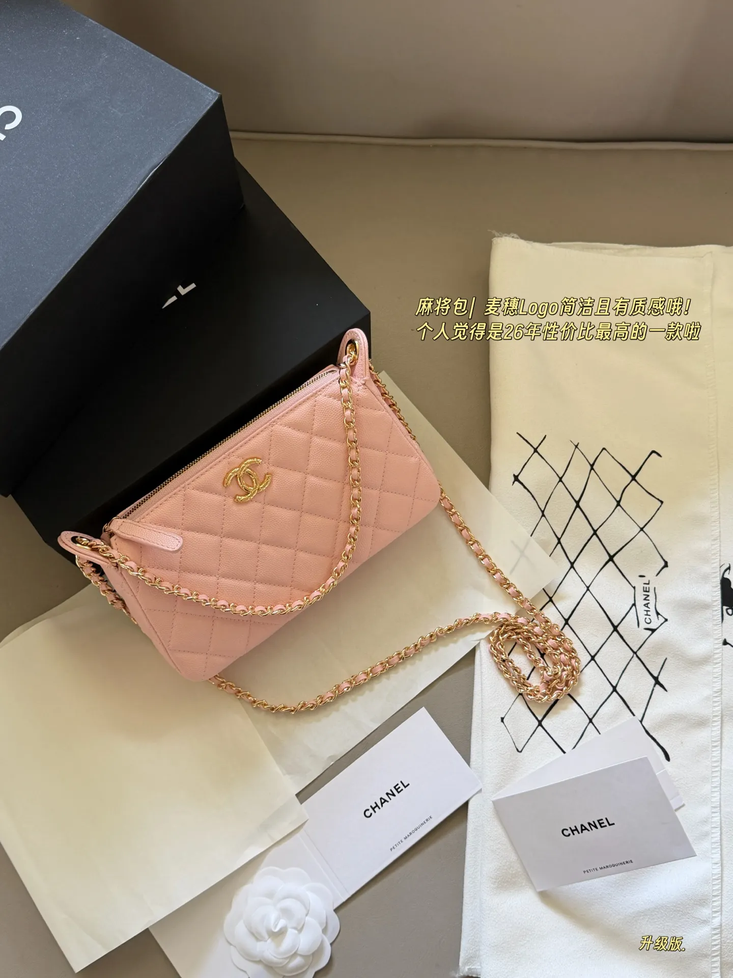 Quilted Leather Chain Shoulder Bag D27518015 — view 19