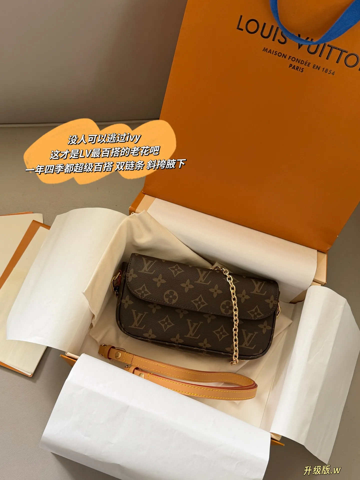 Ivy Monogram Canvas Multi Pochette Bag D27518071
