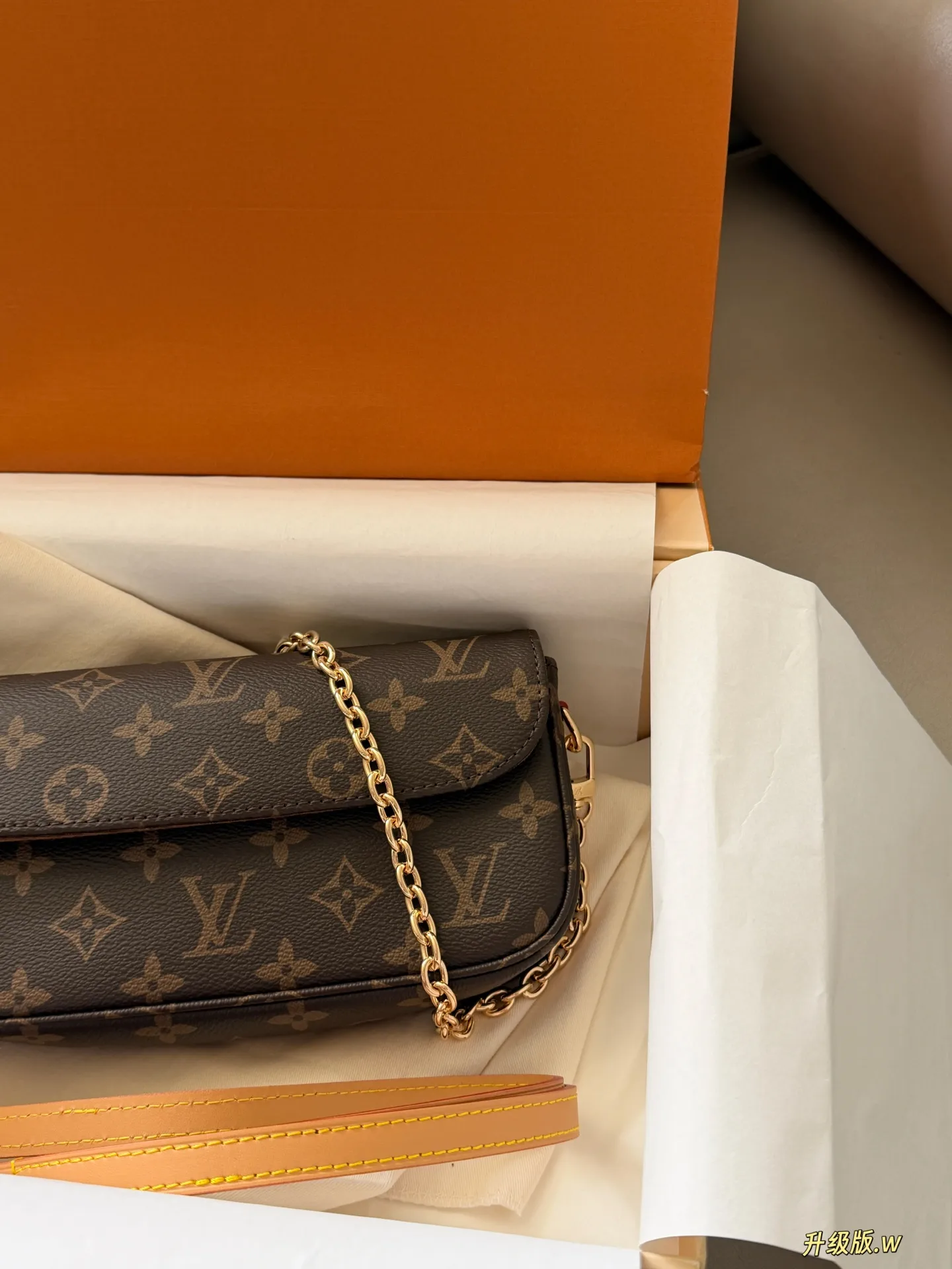 Ivy Monogram Canvas Multi Pochette Bag D27518071 — view 3