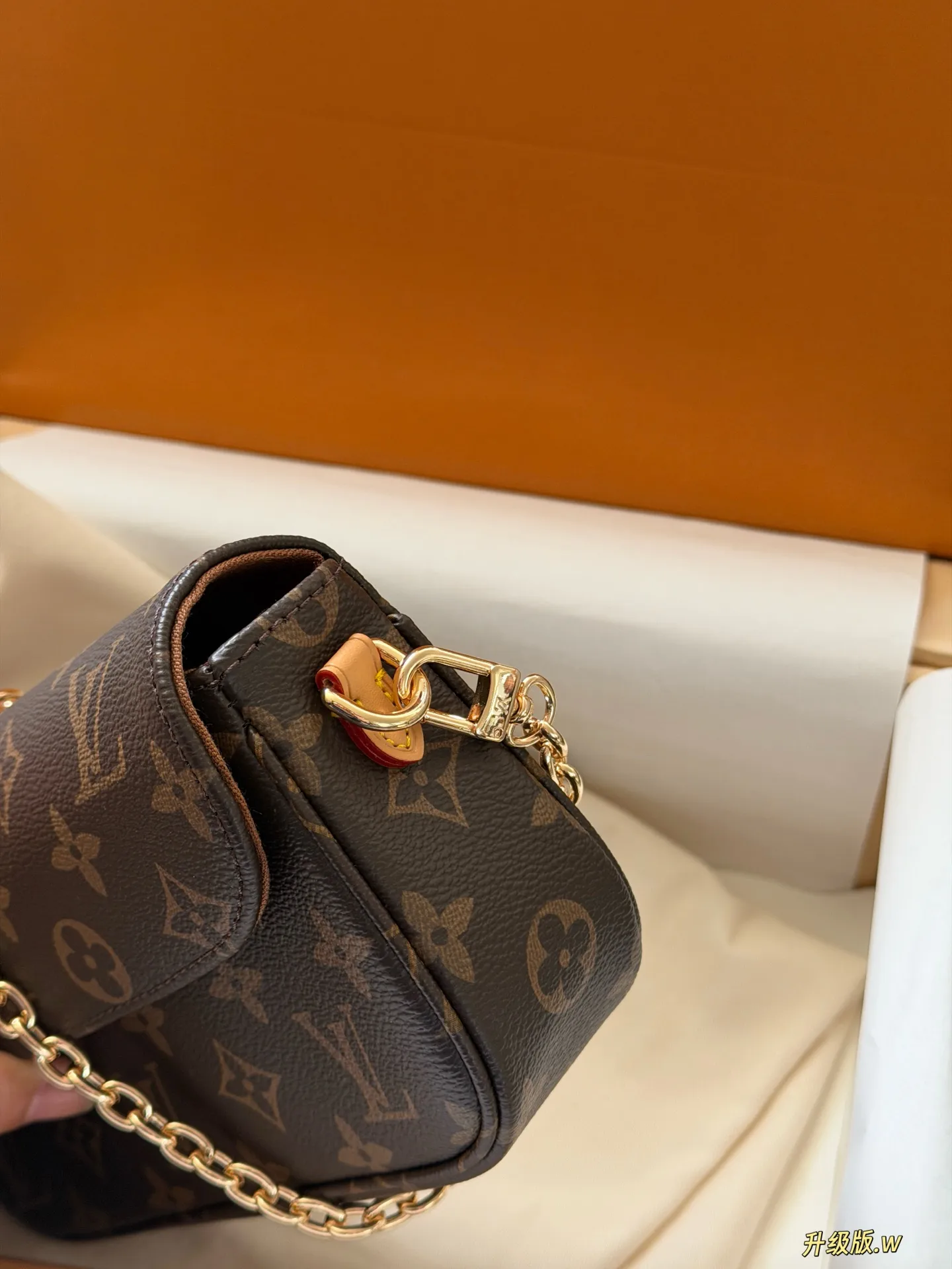Ivy Monogram Canvas Multi Pochette Bag D27518071 — view 4