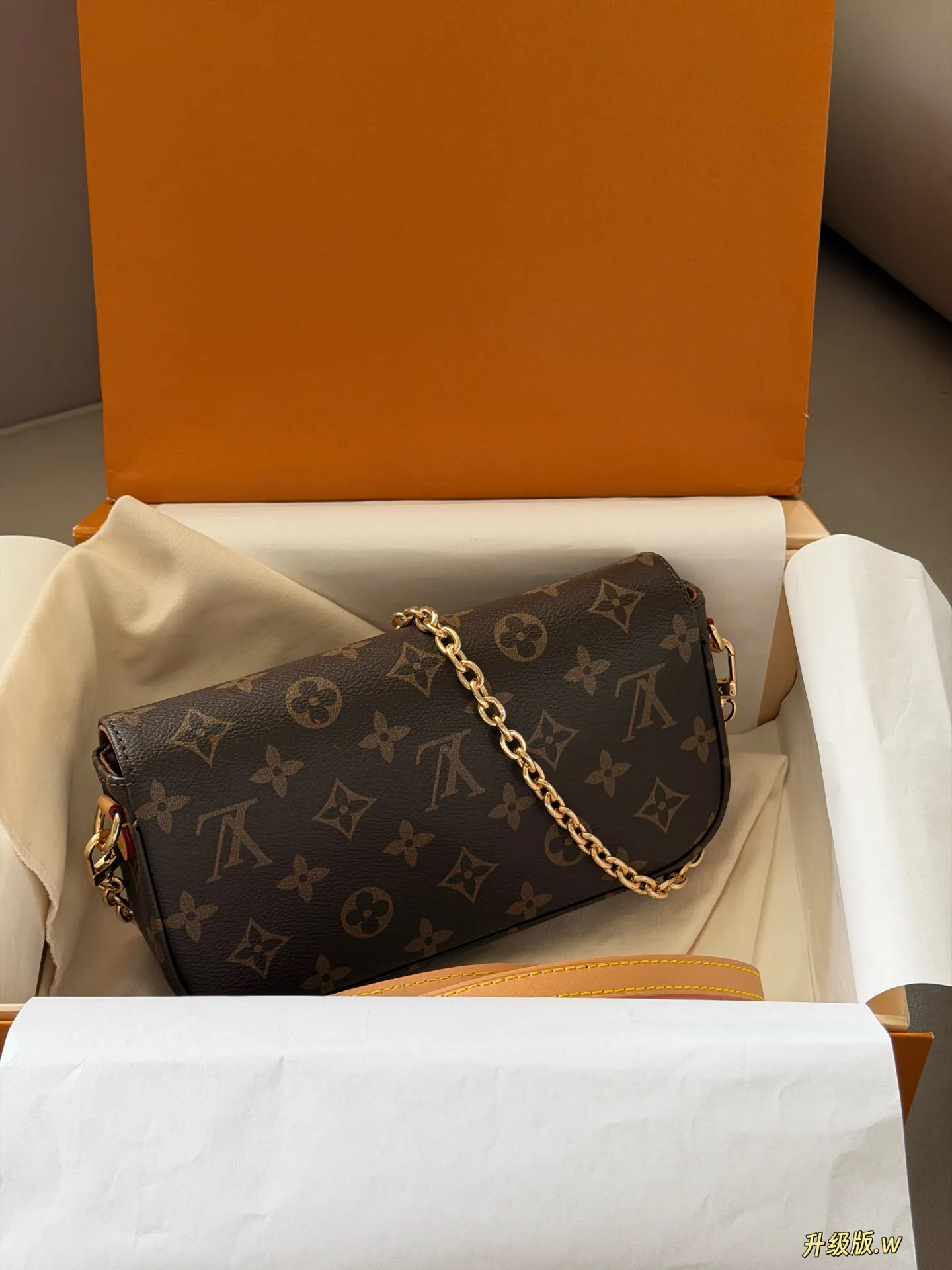Ivy Monogram Canvas Multi Pochette Bag D27518071 — view 5