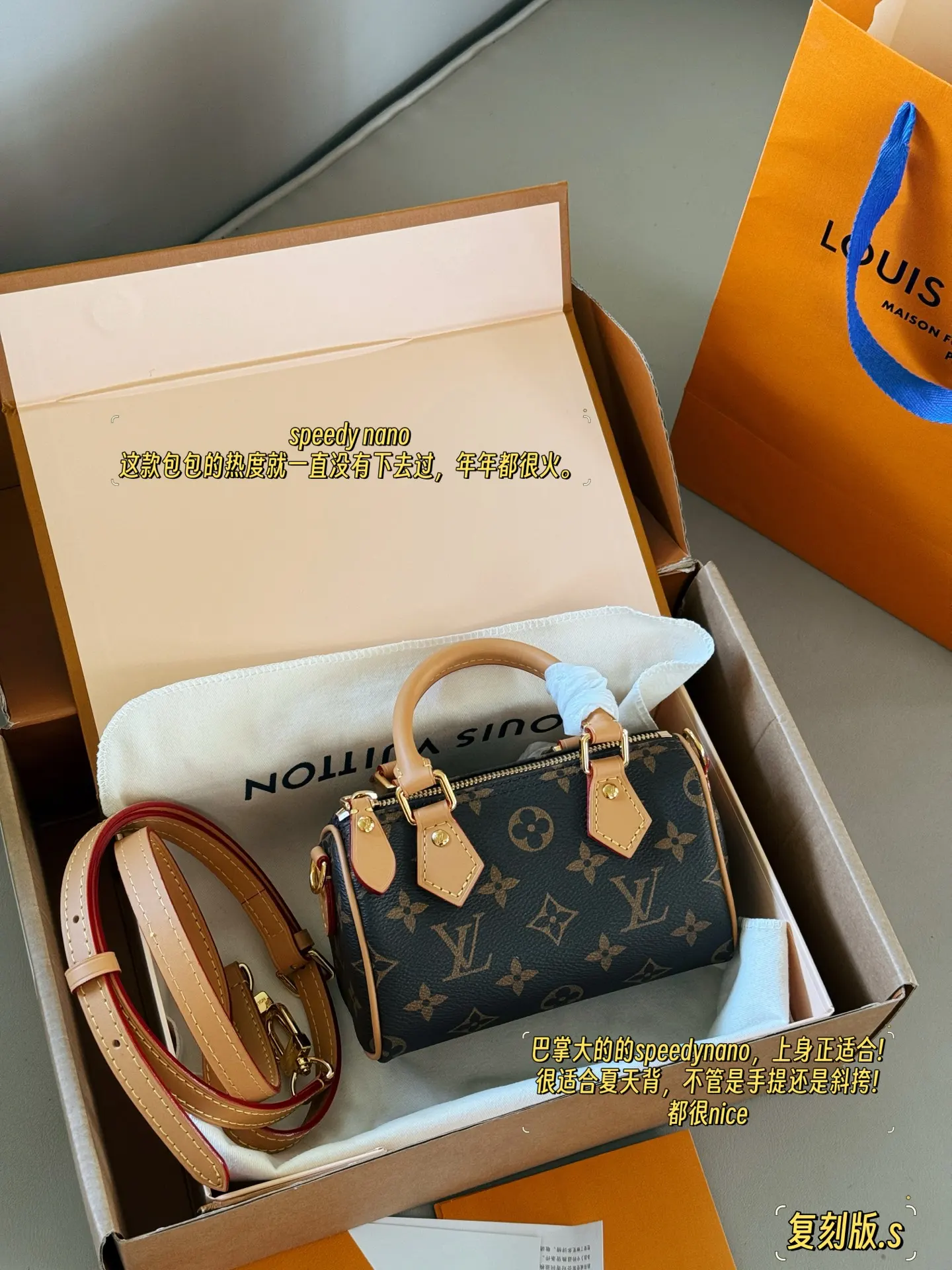Speedy Nano Monogram Canvas Bag D28018388