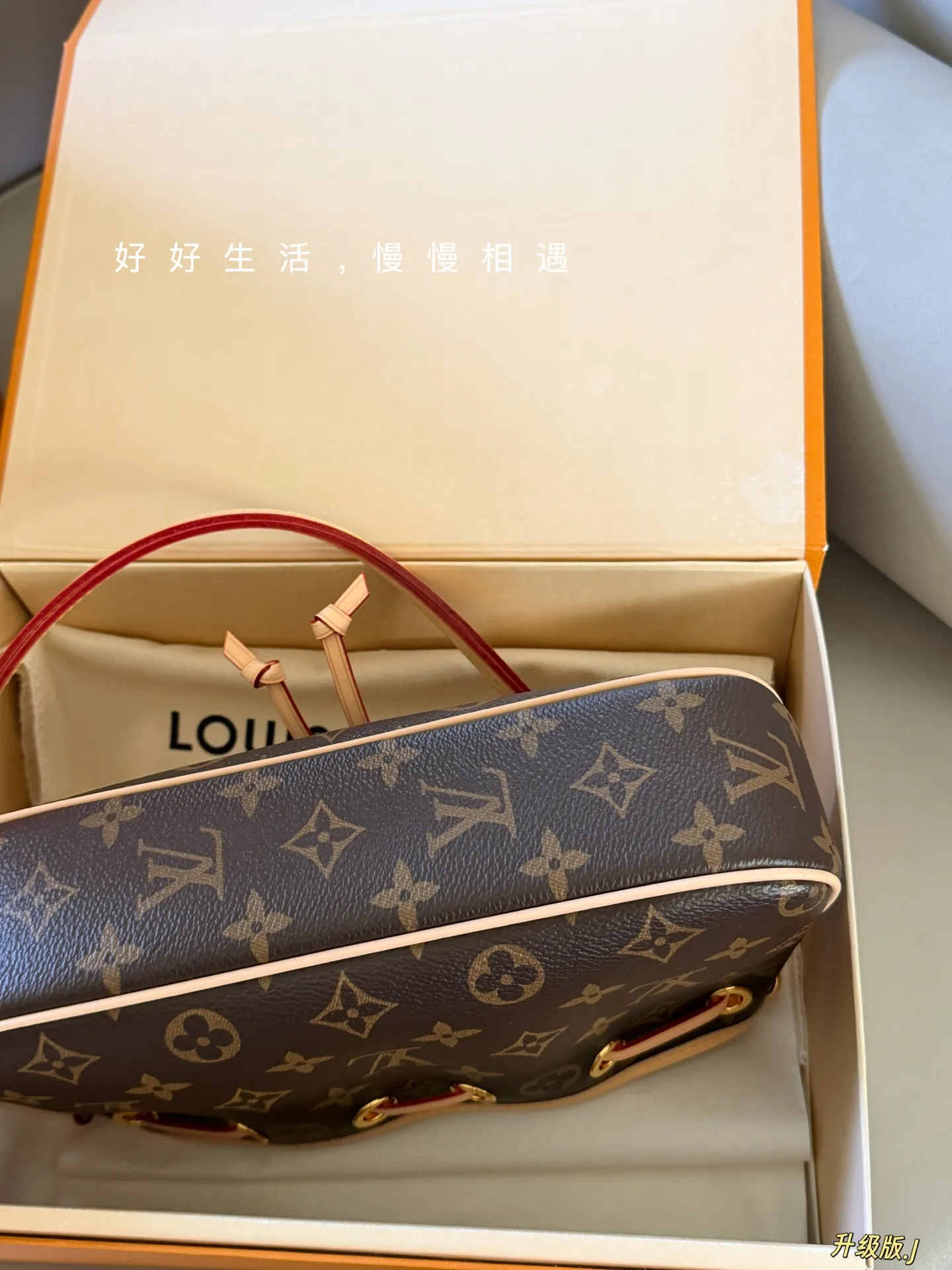 Monogram Canvas Bucket Bag D28517836 — view 5