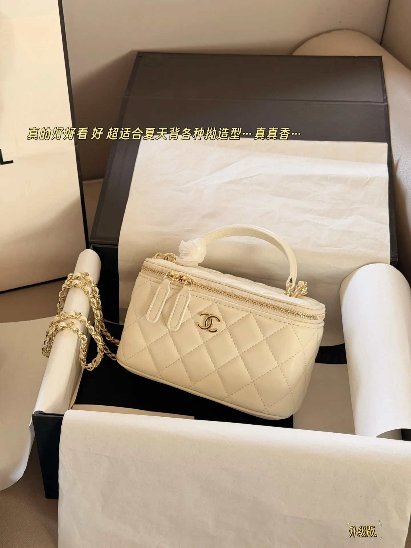 Chanel Quilted Vanity Case Bag D28518216 — view 10