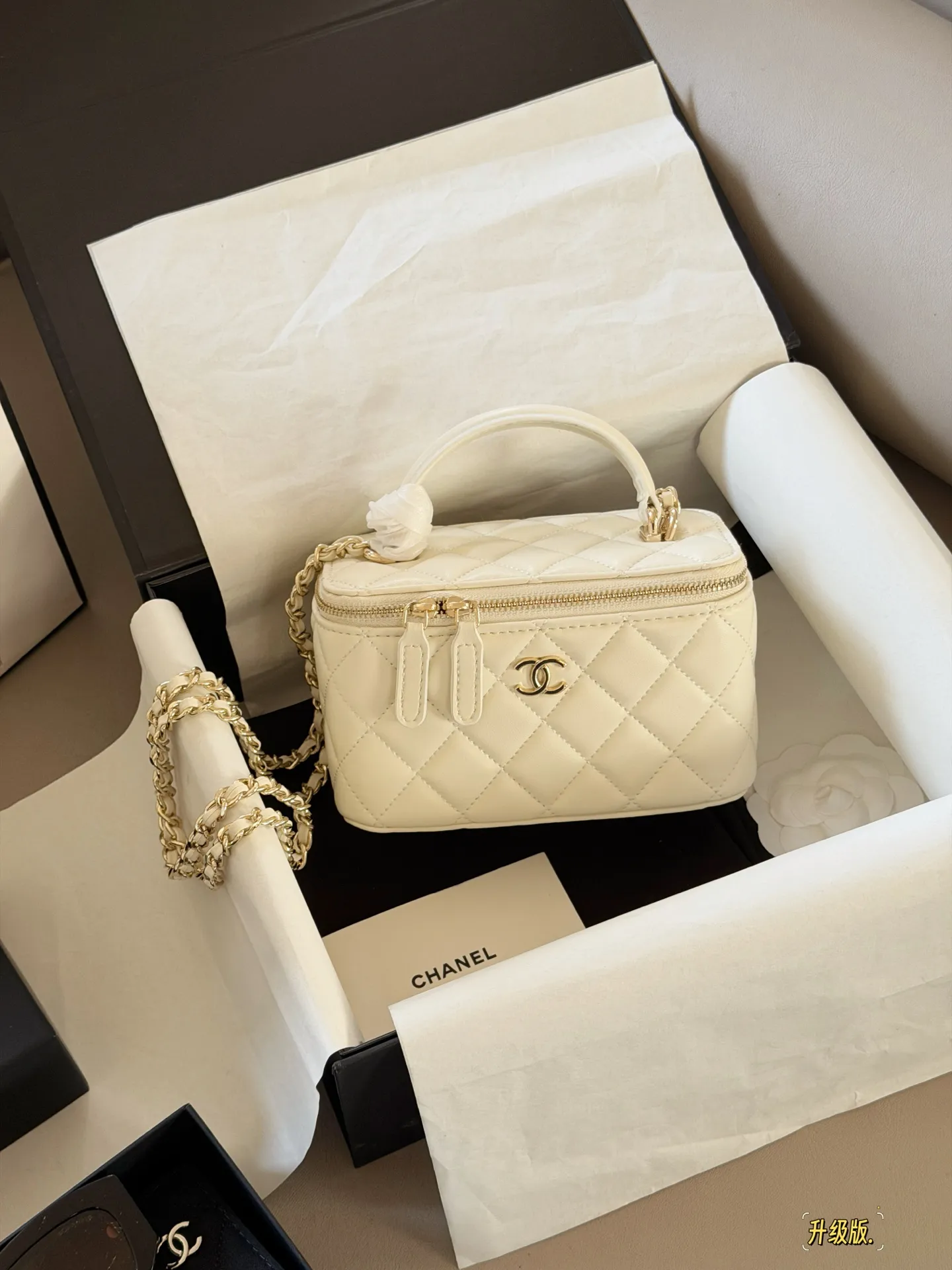 Chanel Quilted Vanity Case Bag D28518216 — view 11