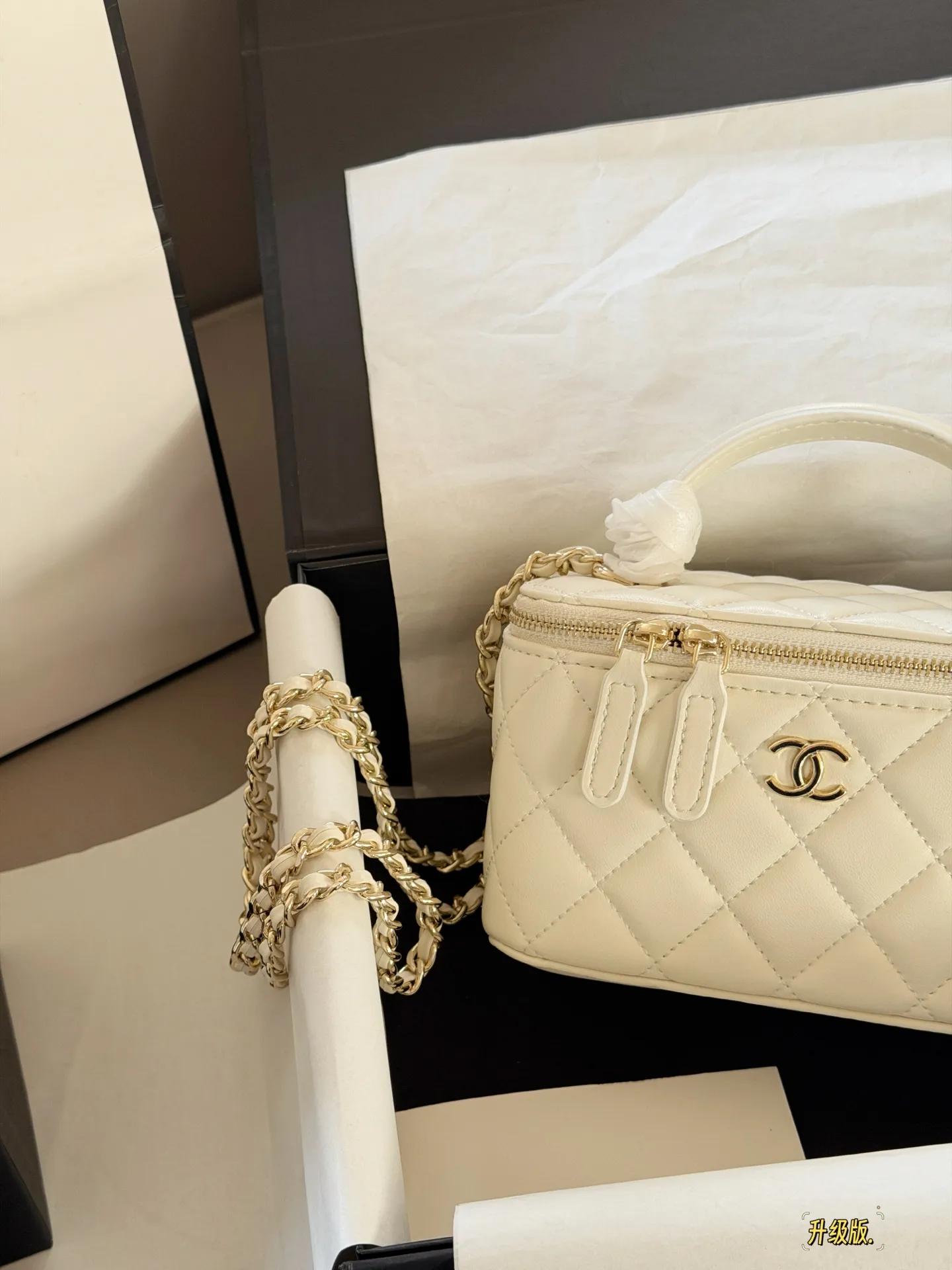 Chanel Quilted Vanity Case Bag D28518216 — view 12