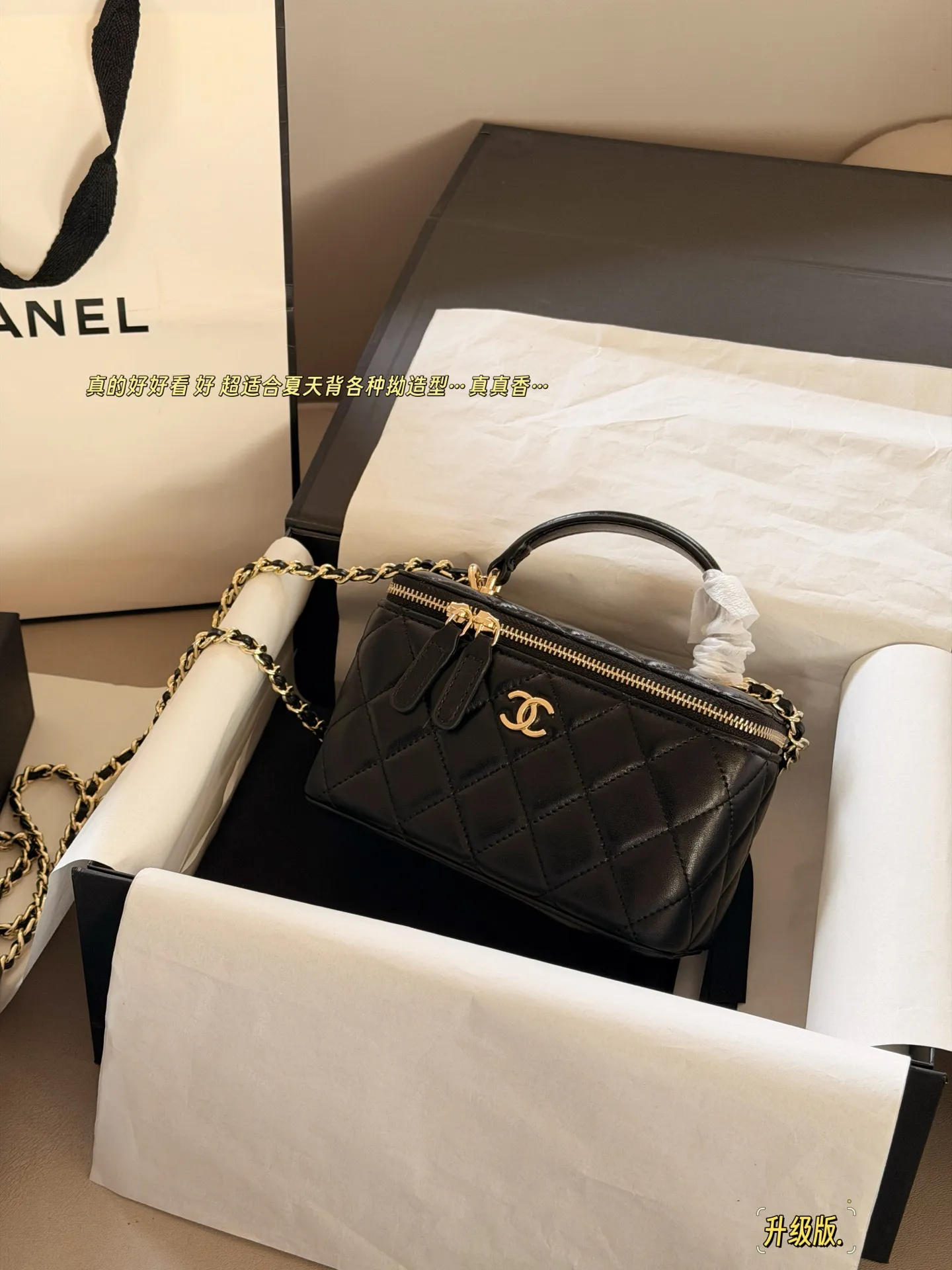 Chanel Quilted Vanity Case Bag D28518216