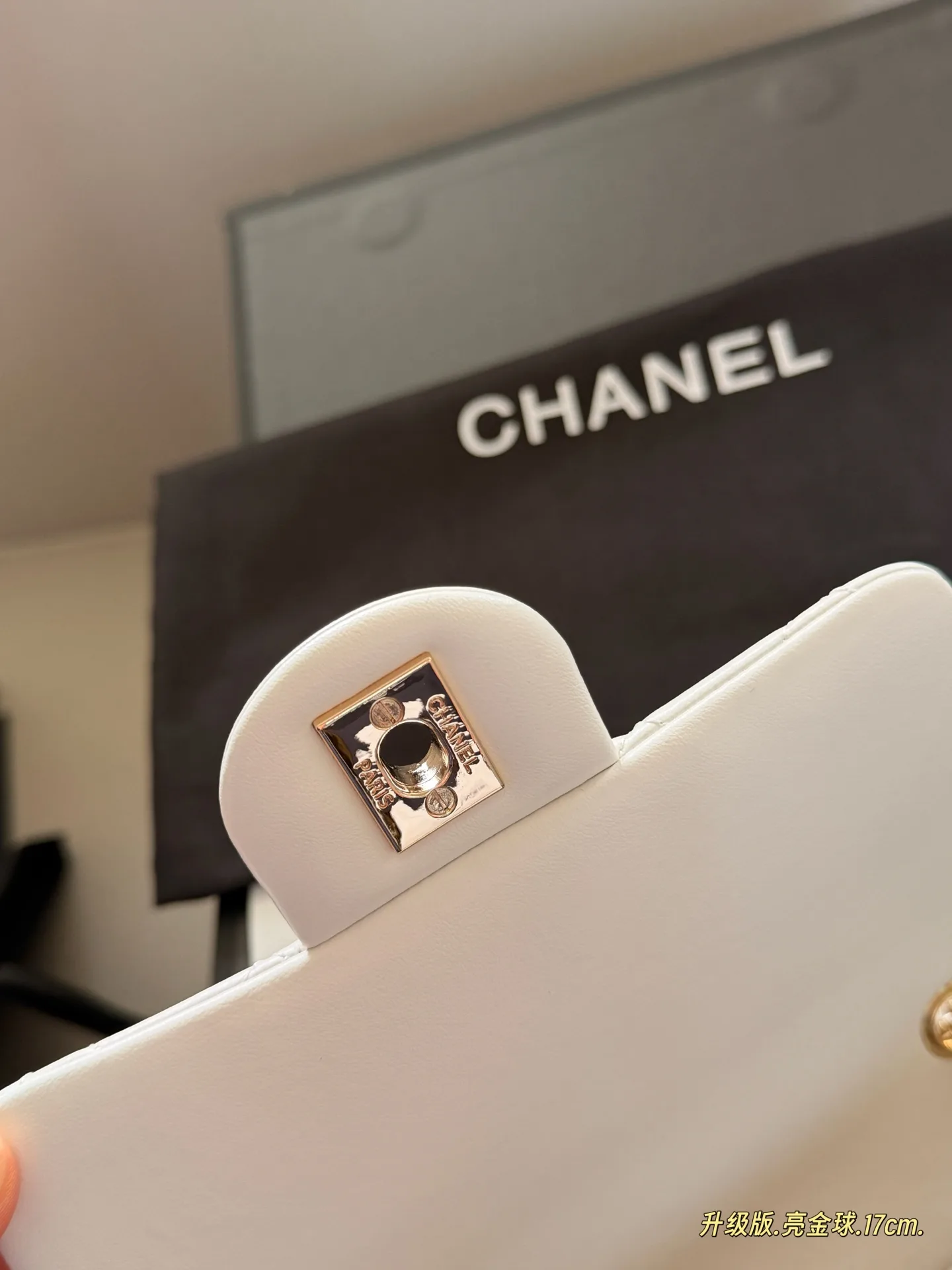 Chanel CF Quilted Leather Mini Bag D30018069 — view 14
