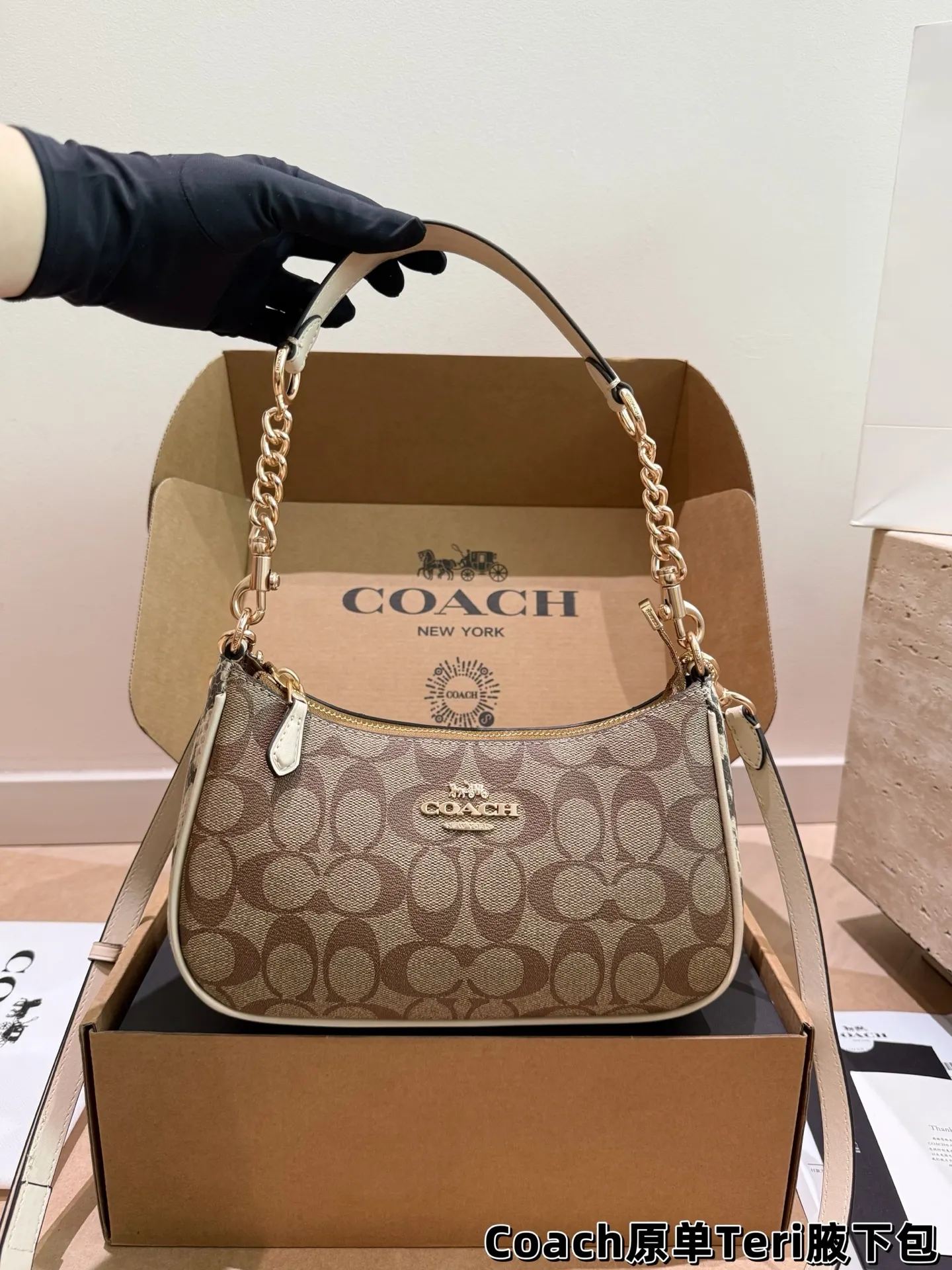 Coach Teri Monogram Shoulder Bag D30018175