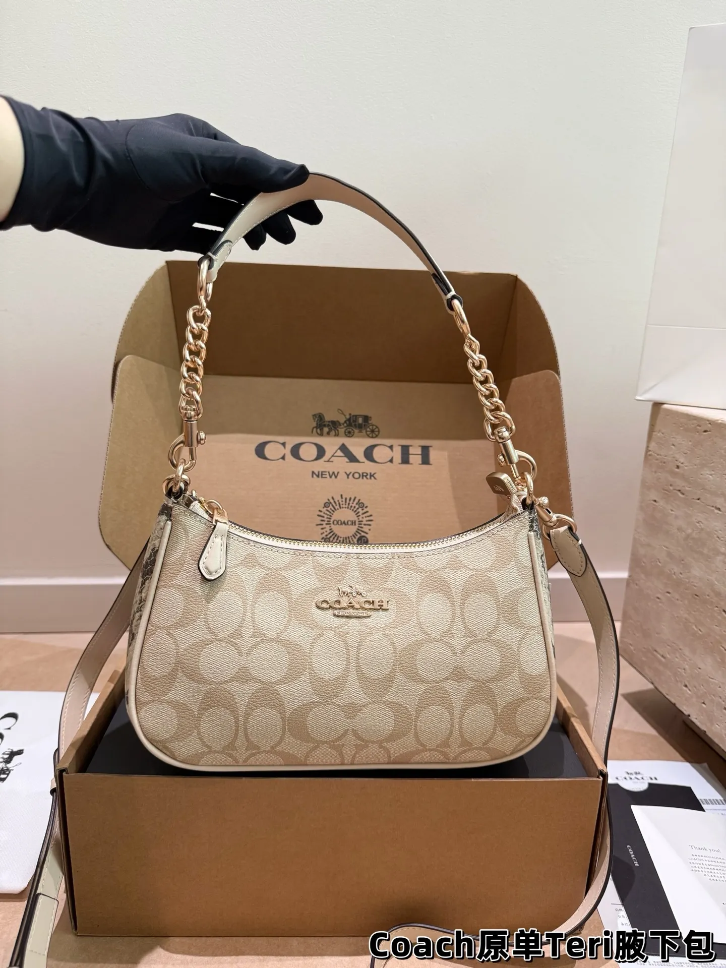 Coach Teri Monogram Shoulder Bag D30018175 — view 10