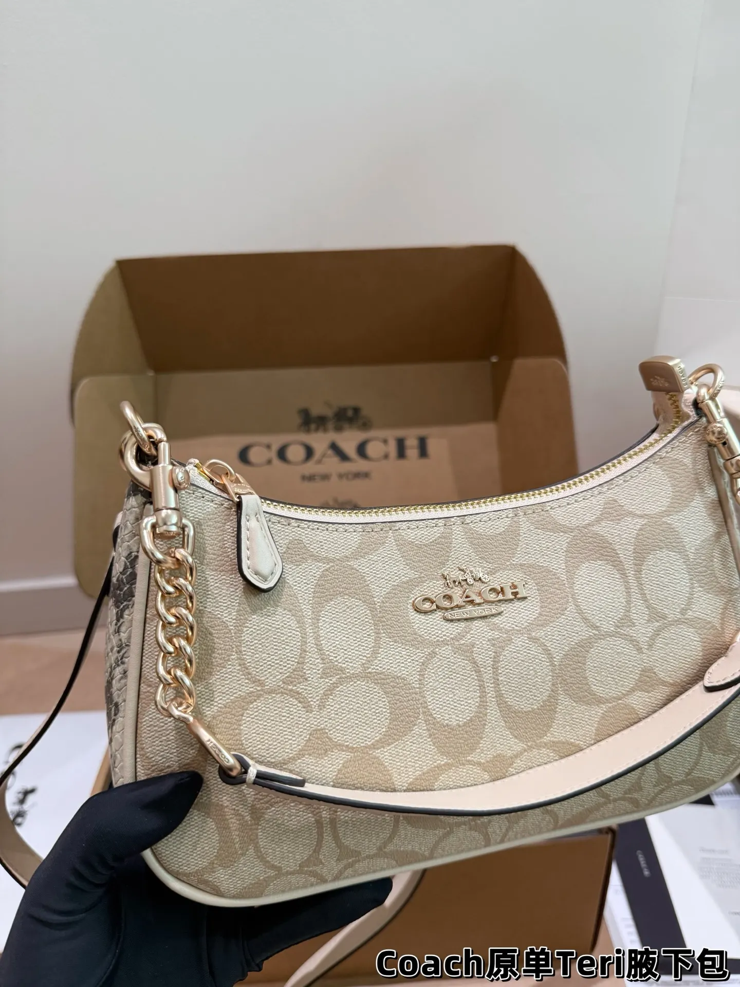 Coach Teri Monogram Shoulder Bag D30018175 — view 13