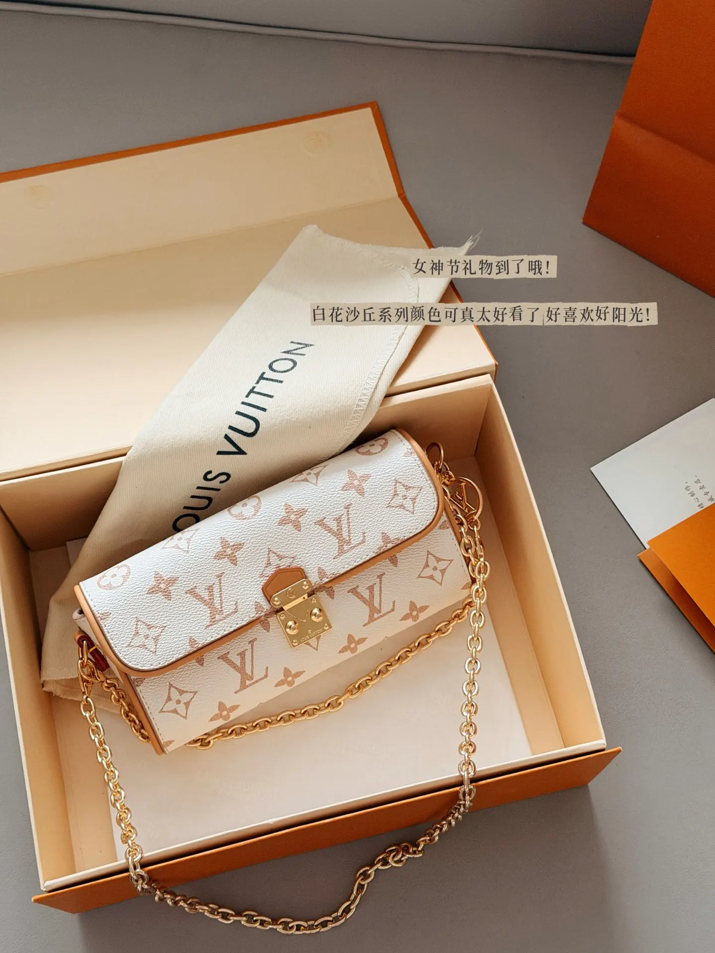 Camille Monogram Chain Bag D30017938