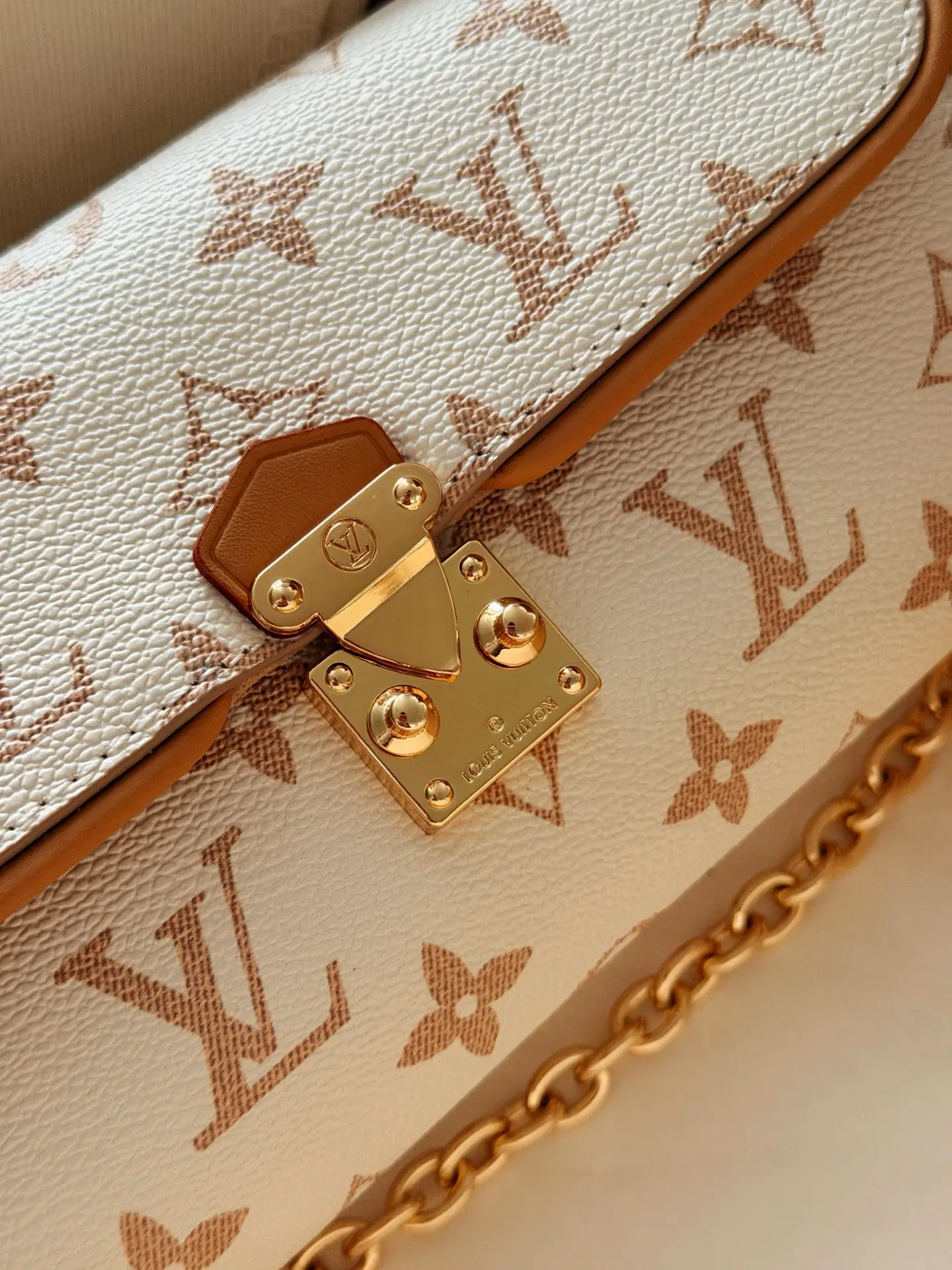 Camille Monogram Chain Bag D30017938 — view 3