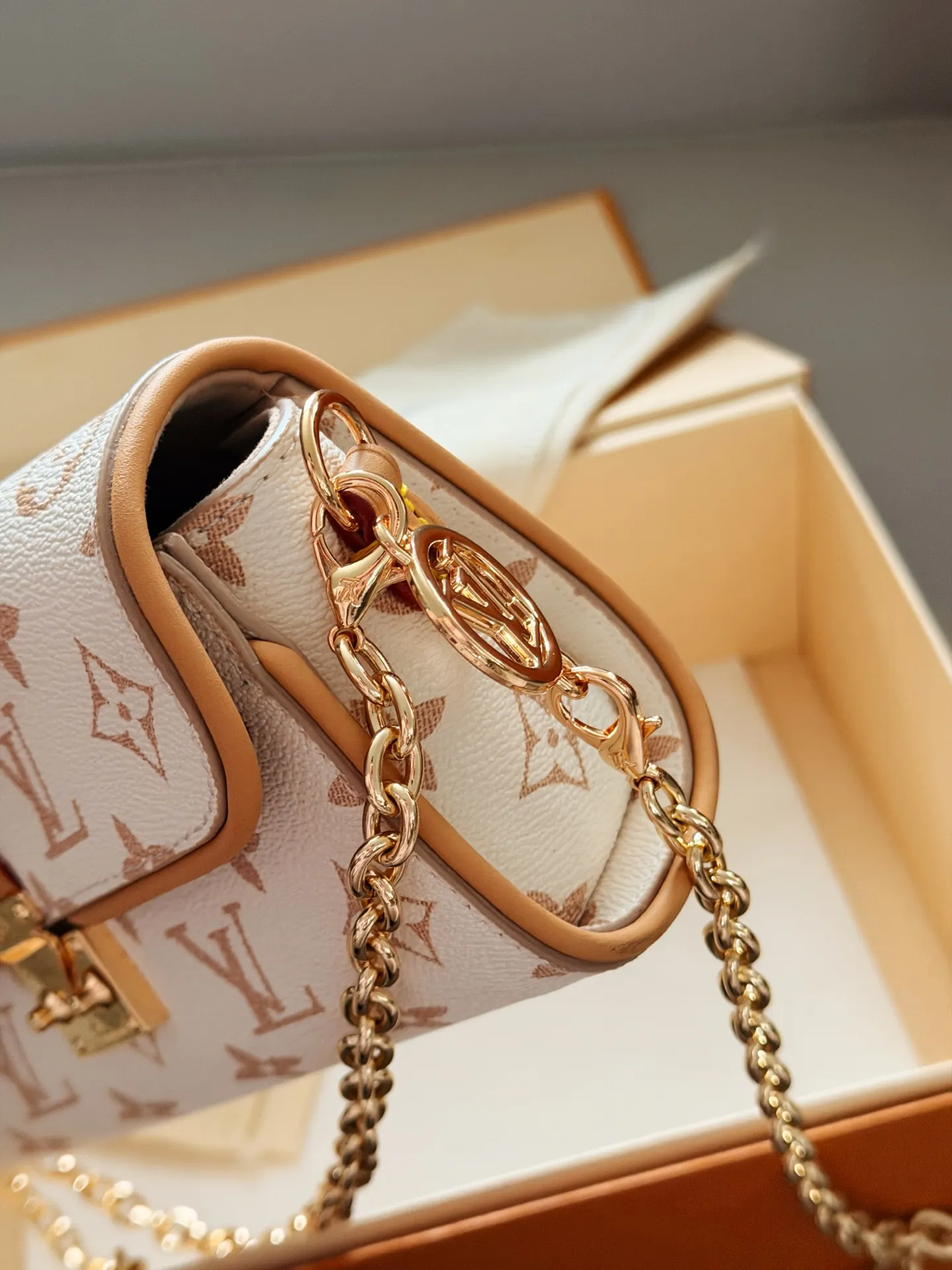 Camille Monogram Chain Bag D30017938 — view 4