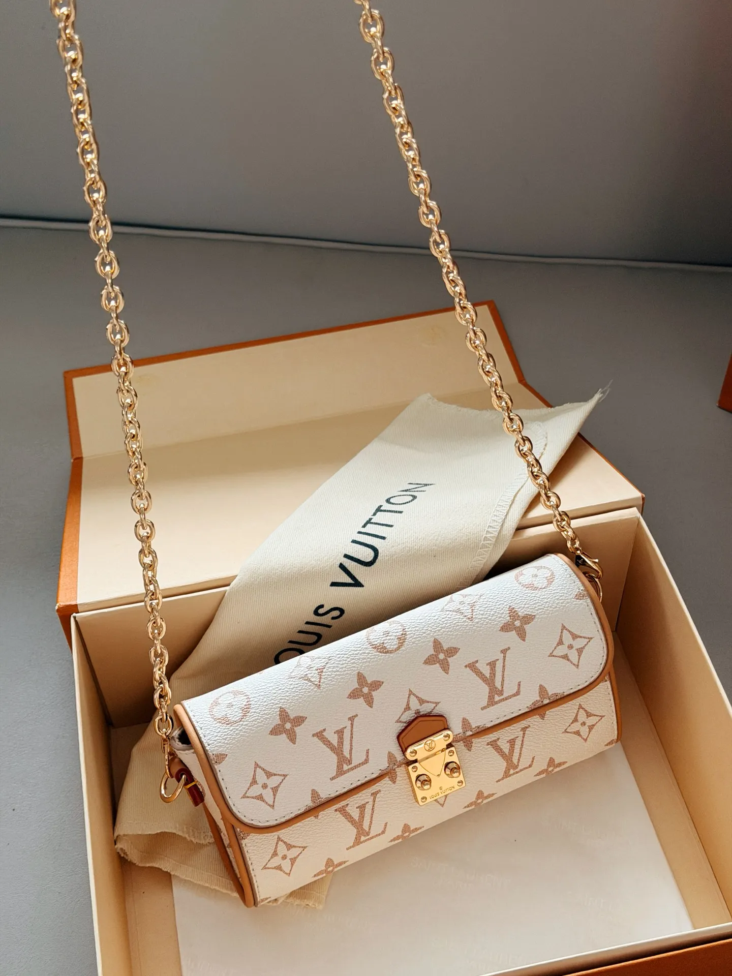 Camille Monogram Chain Bag D30017938 — view 5