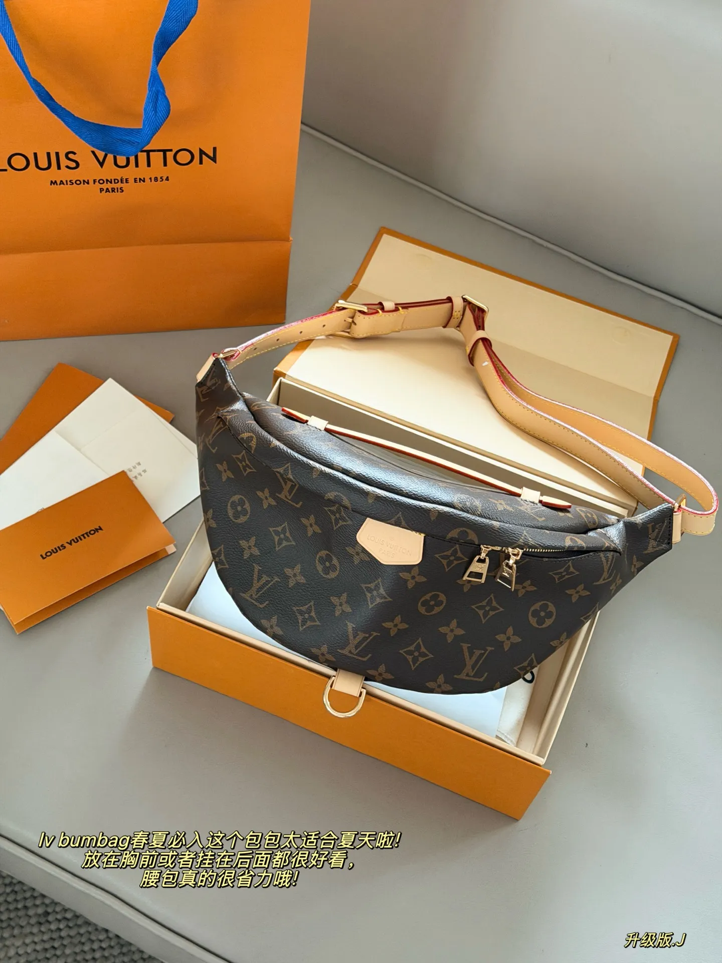 Monogram Canvas Bumbag D30017994