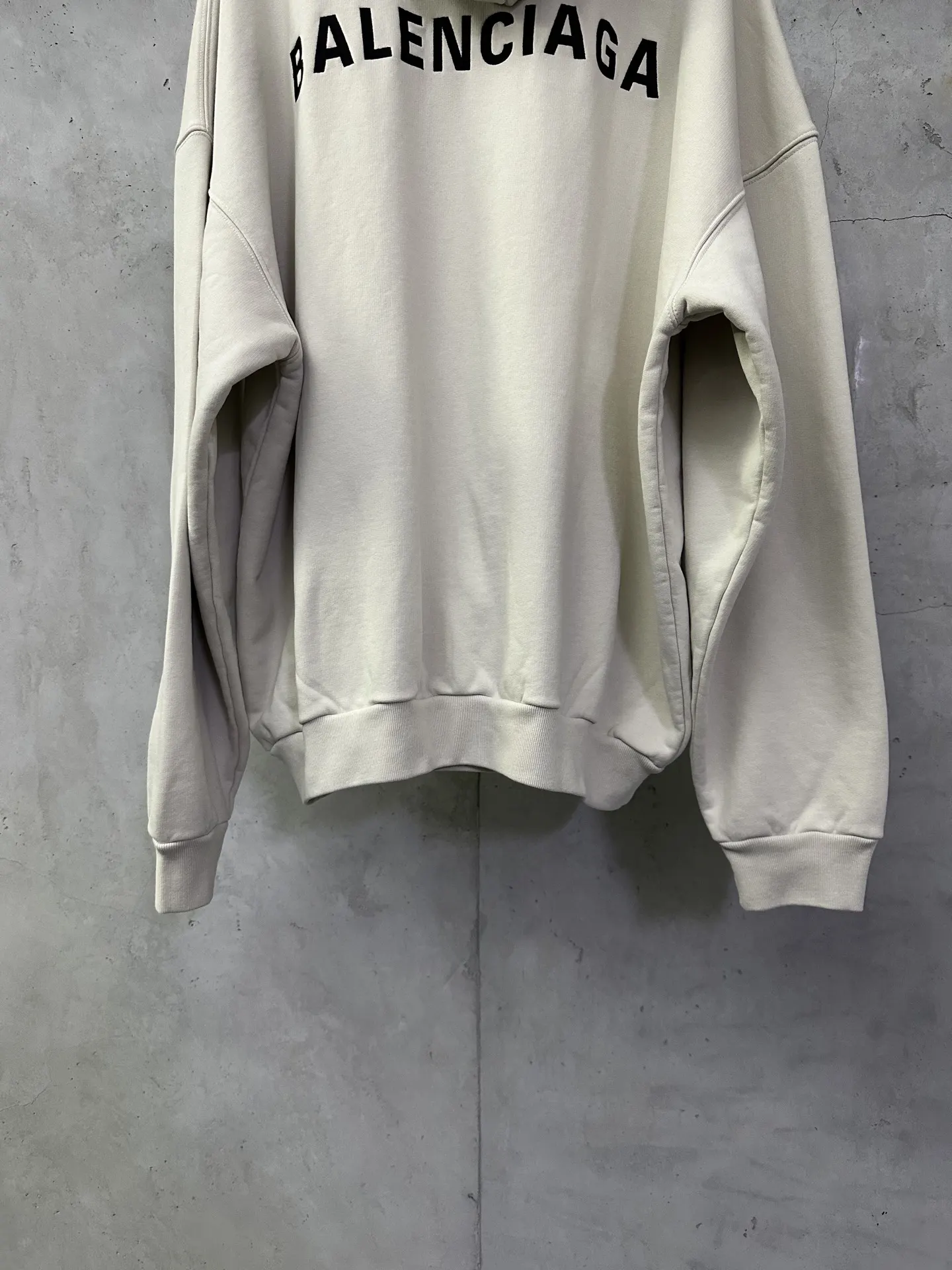 Logo Embroidery Oversized Cotton Hoodie D31020149 — view 6