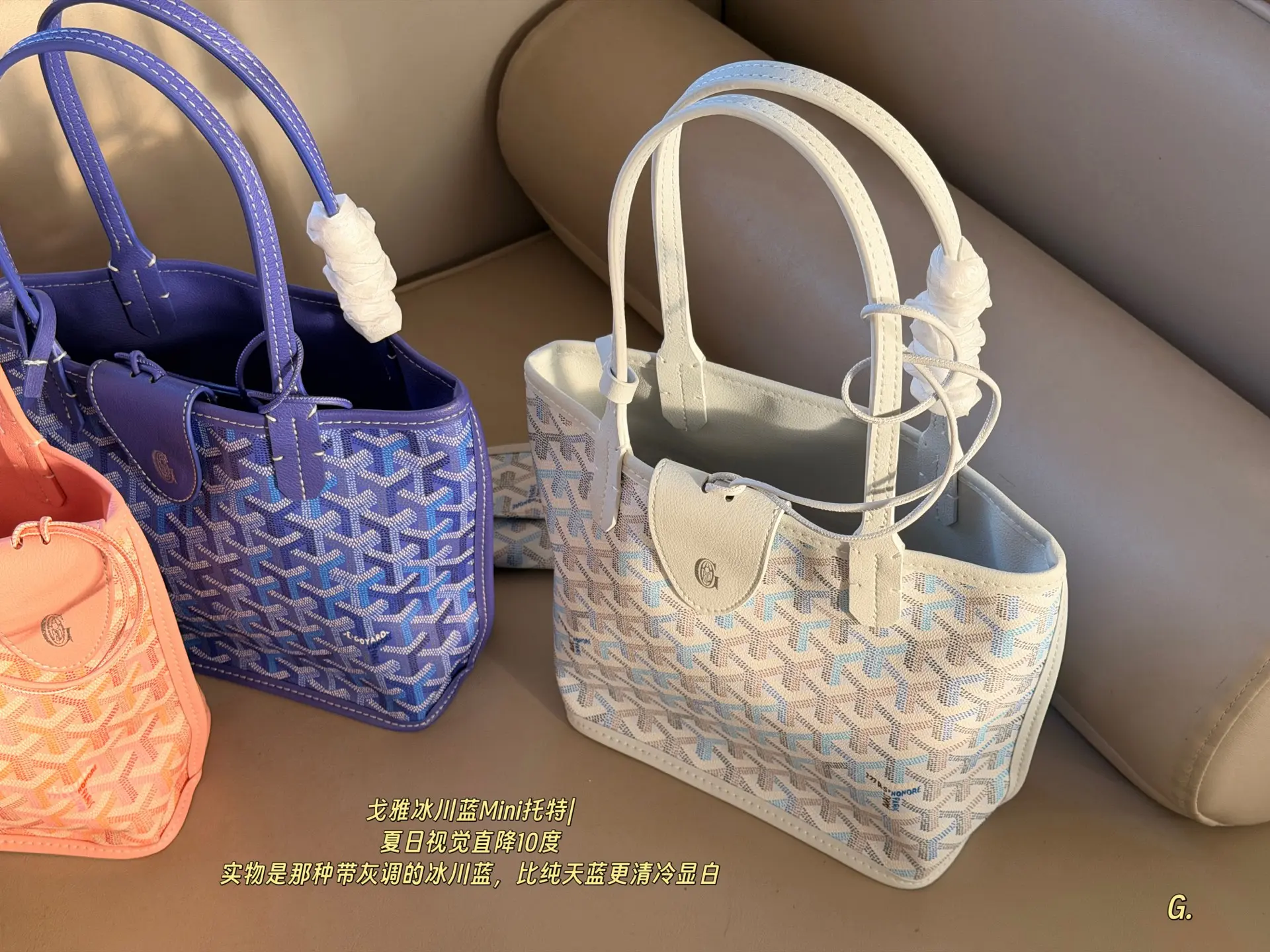 Goyard Mini Reversible Tote Bag D31017883