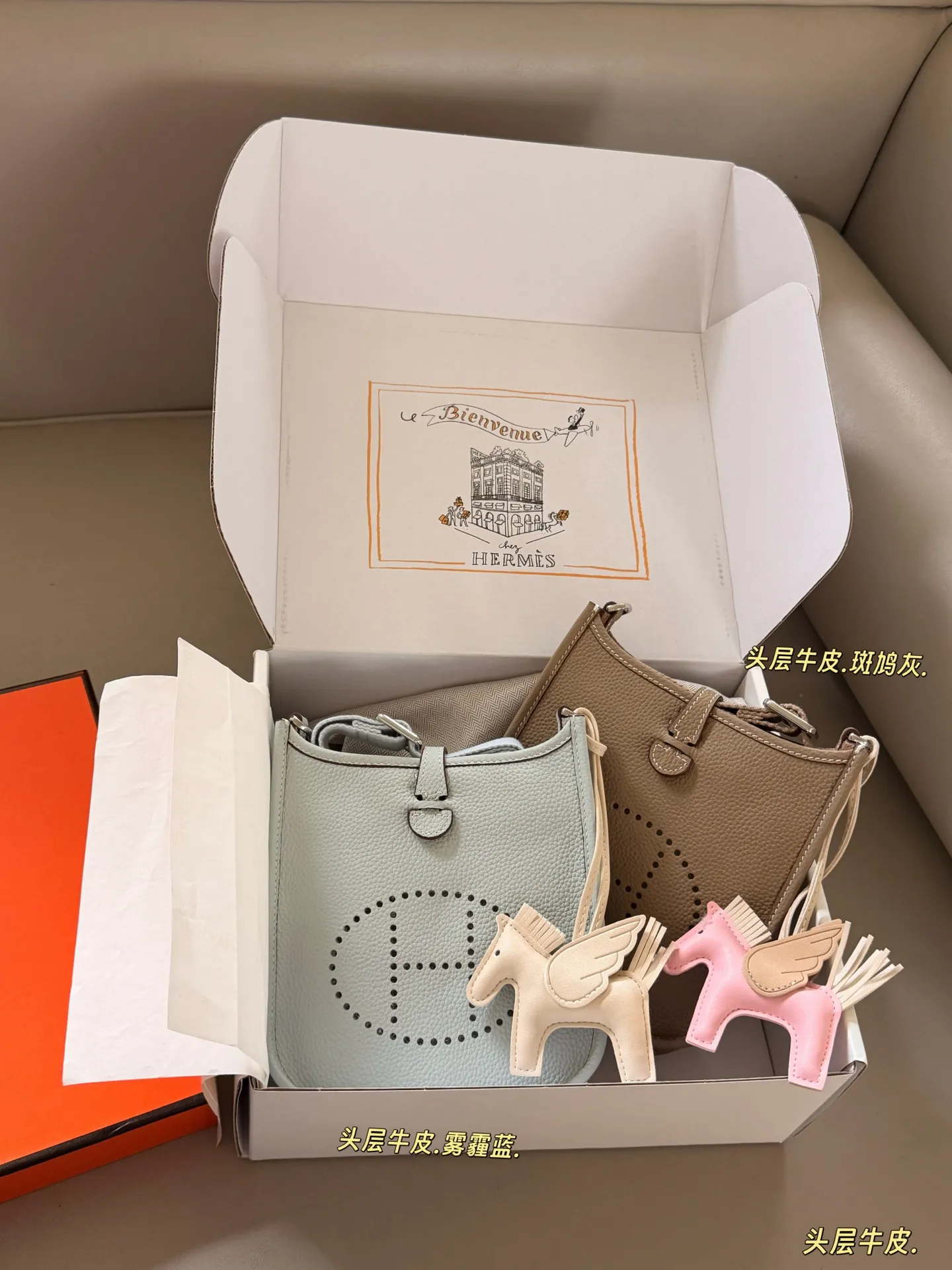 Evelyne Mini Crossbody Bag D31017996 — view 2